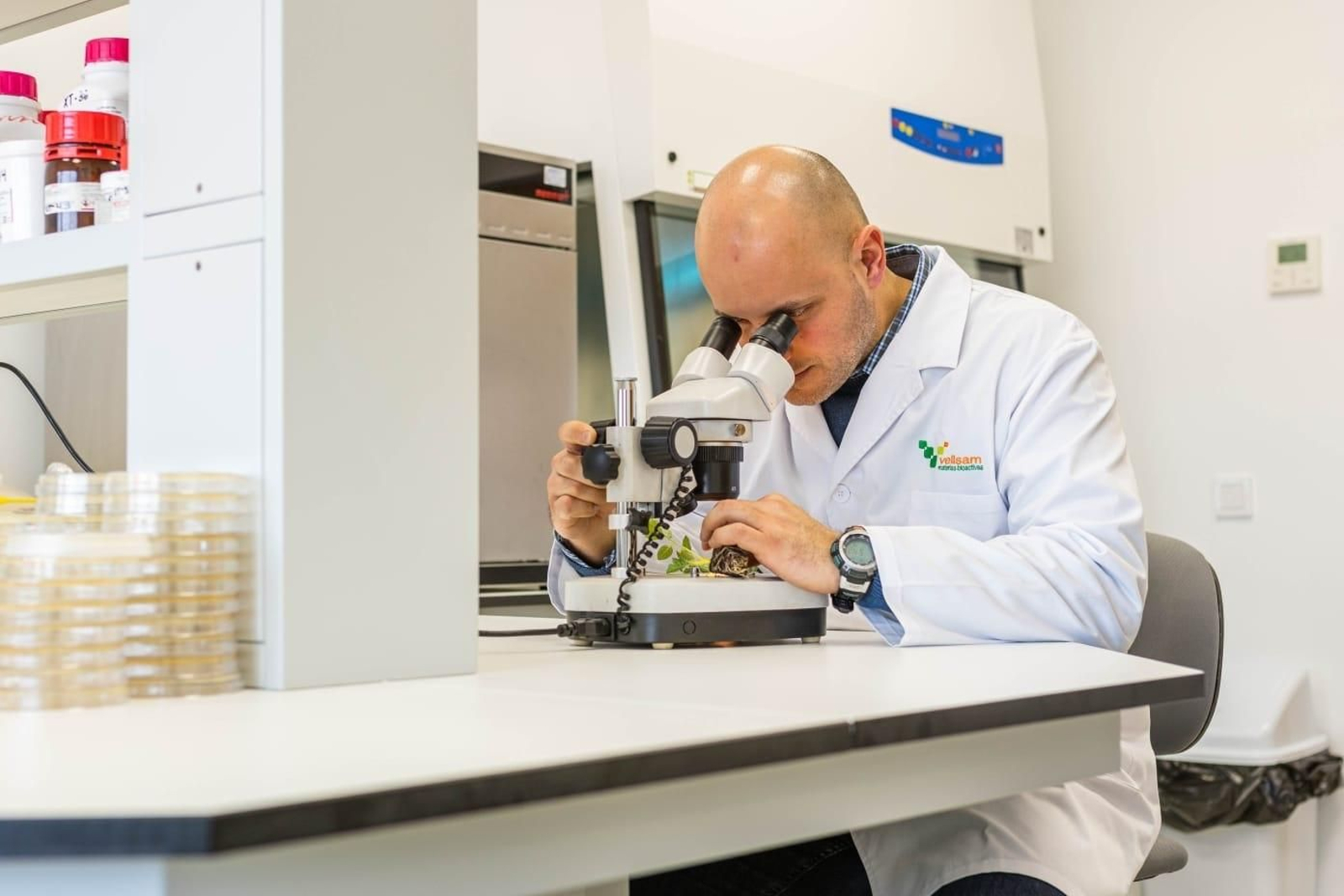 Vellsam es pionera en la producción de soluciones biotecnológicas.