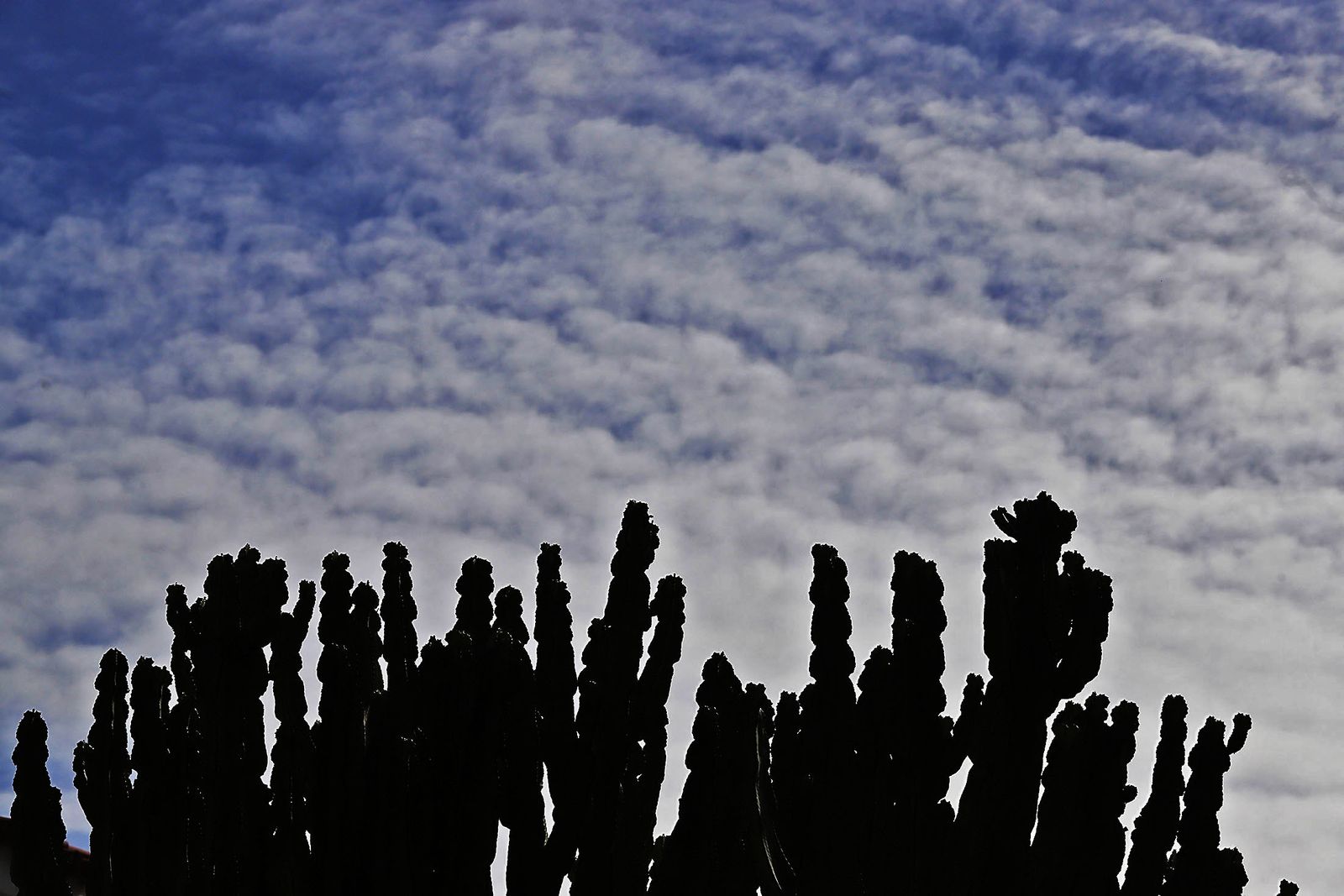 Las imágenes más destacadas del miércoles 18 de octubre en Huelva