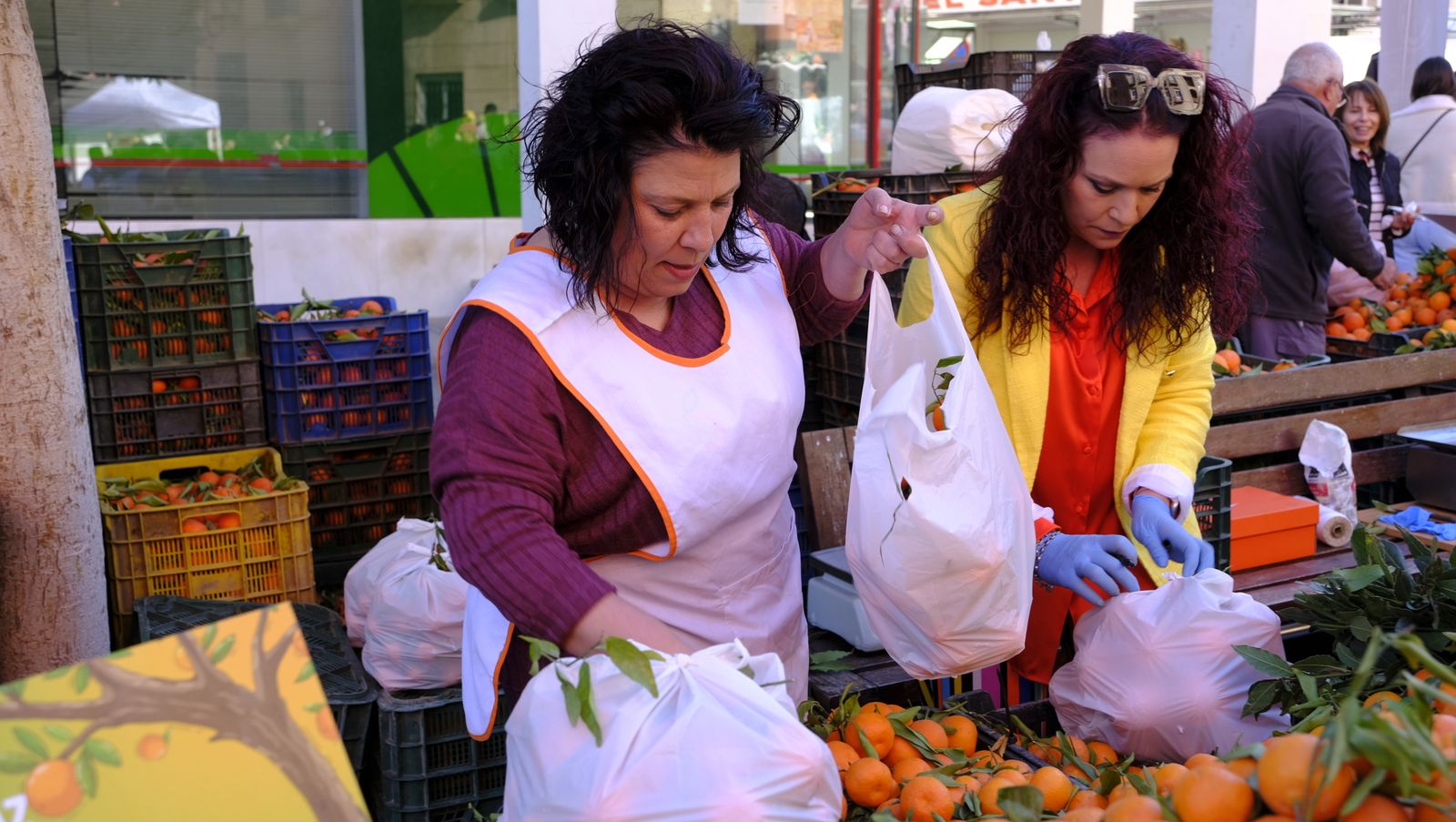 El Día de la Naranja en Gádor, en imágenes
