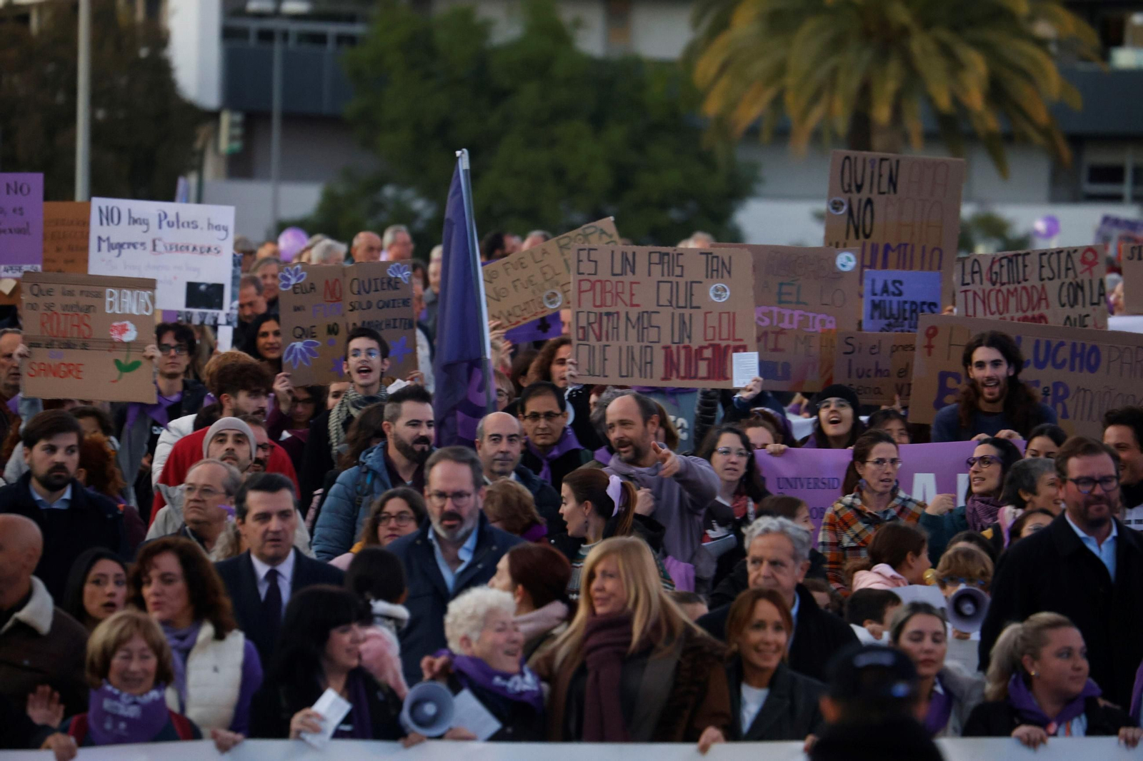 La manifestación del 25N en Córdoba