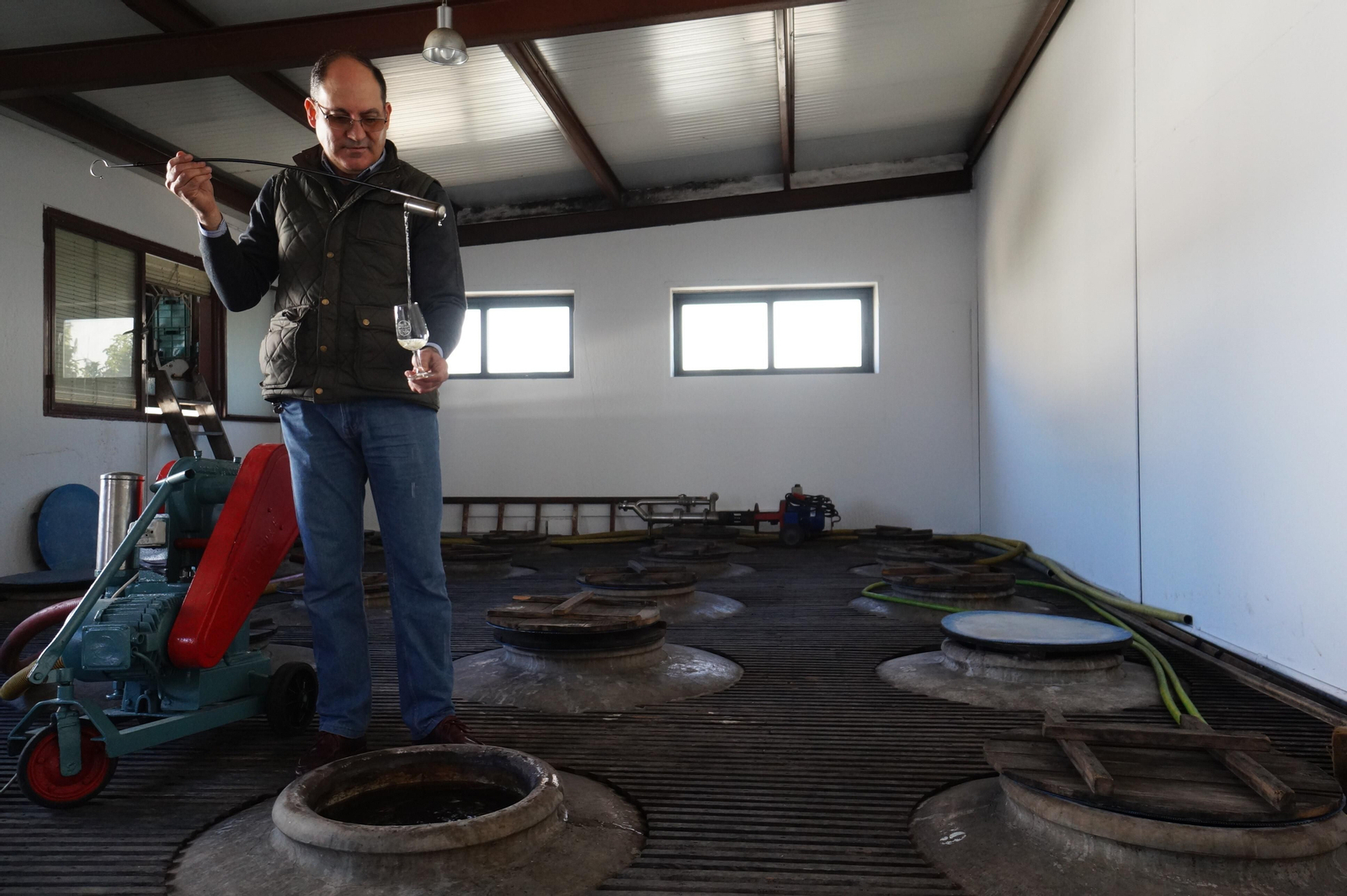 Un recorrido en fotografías por el vino nuevo de Moriles