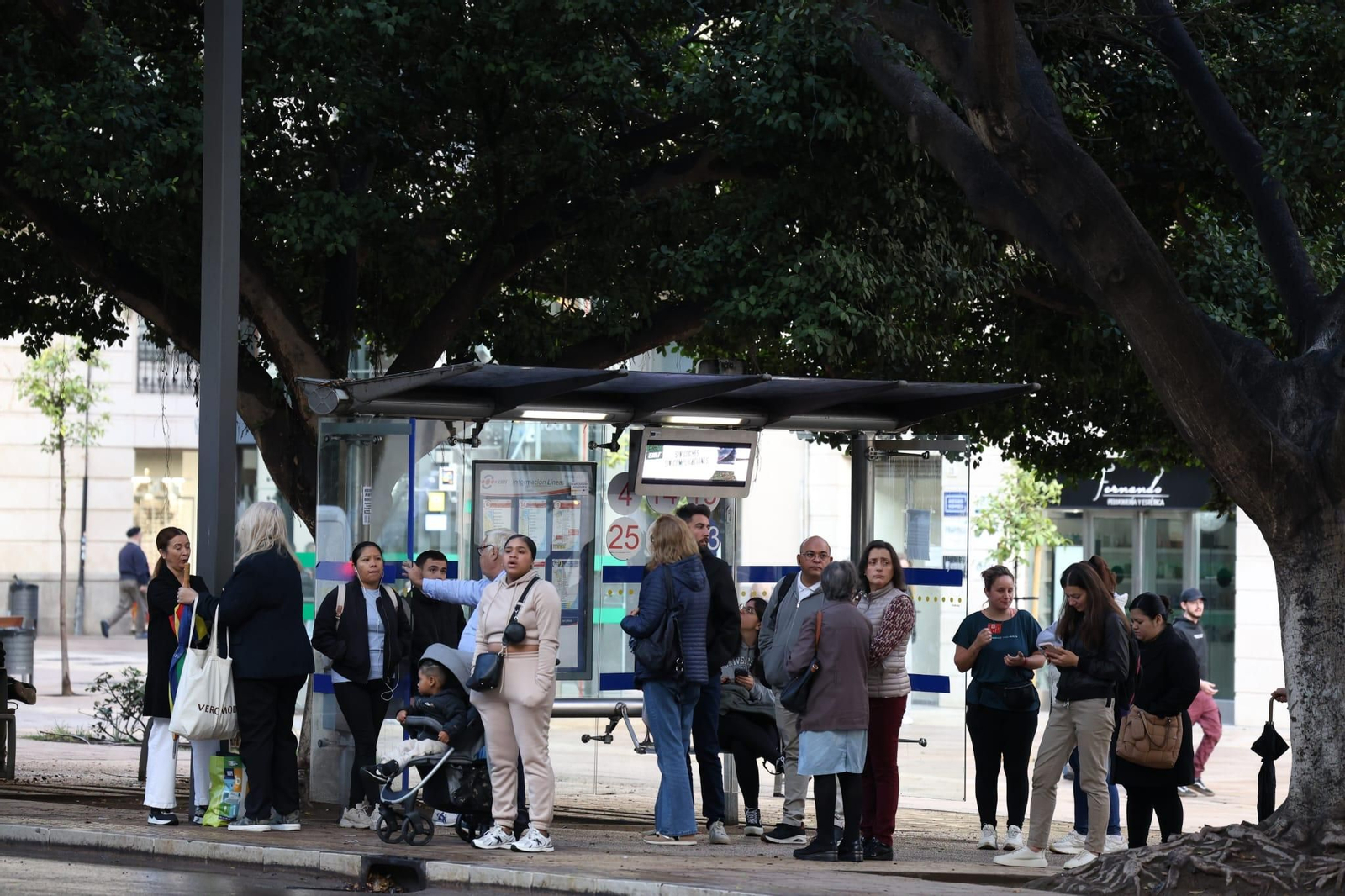 La huelga de autobuses en Málaga en imagenes