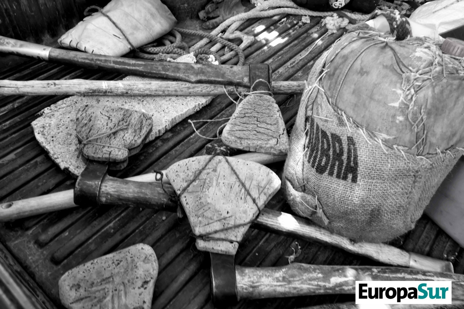 Fotografías de 'El último bosque', por David Coronado