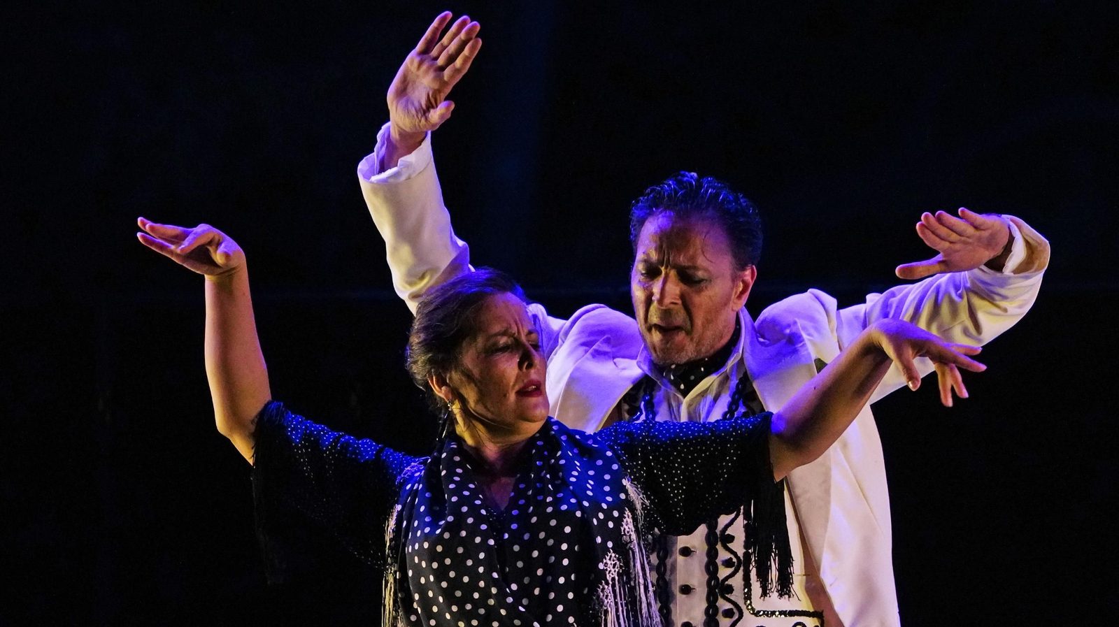 Noche mágica para cerrar la Fiesta de la Bulería de Jerez