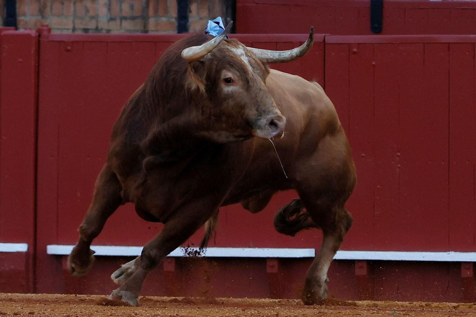 Las fotos de la corrida de David Galván, El Fandi y Ginés Marín en la Maestranza