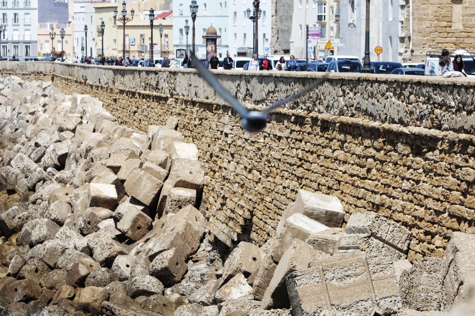 La muralla a la altura de la Catedral.