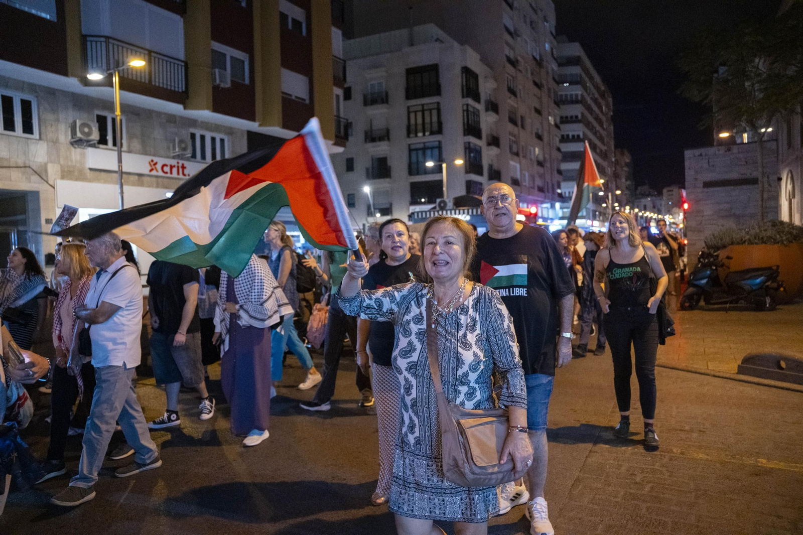 La Plataforma Almería por Palestina se manifiesta por la situación en Gaza, en imágenes
