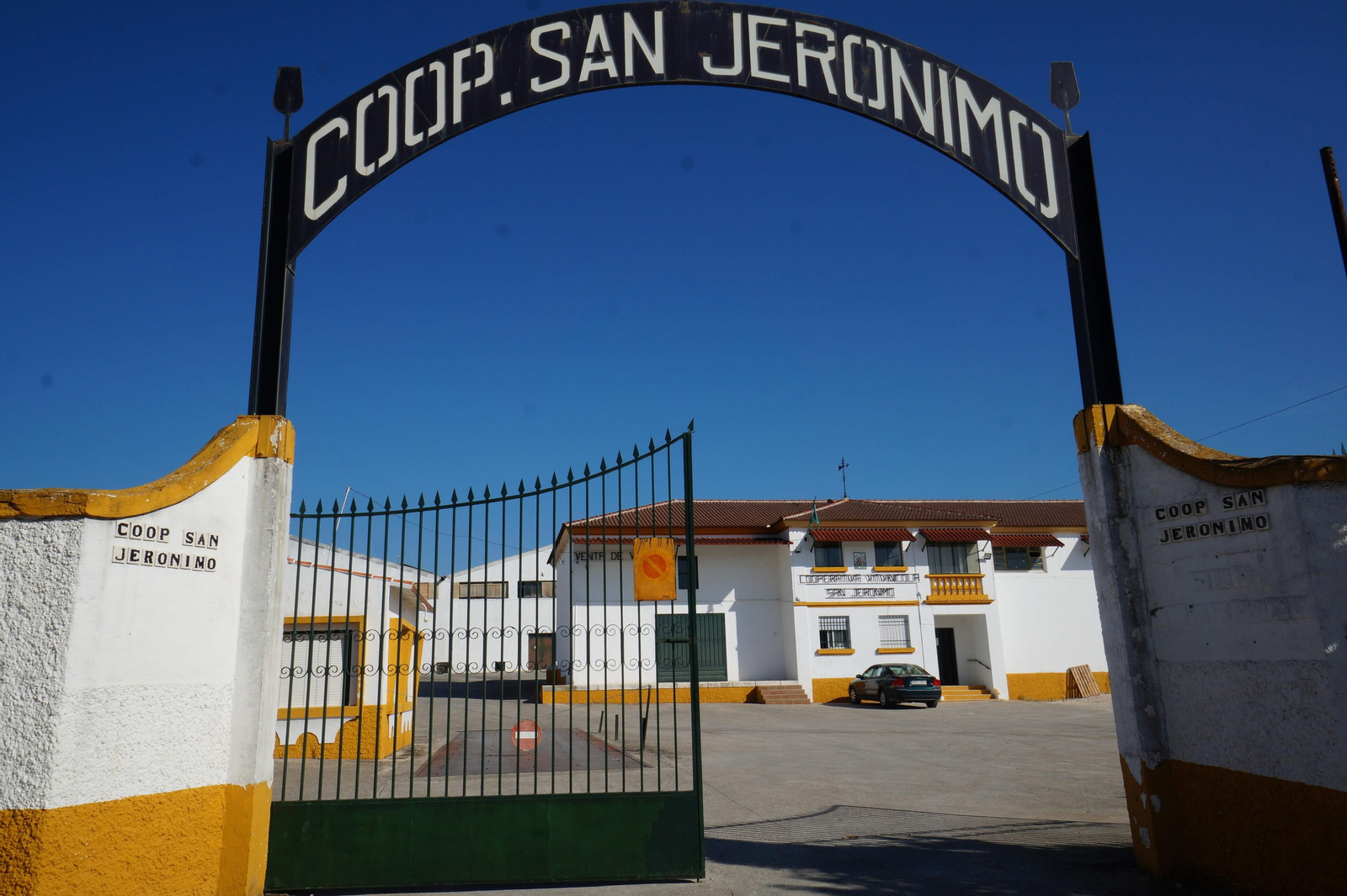 Un recorrido en fotografías por el vino nuevo de Moriles