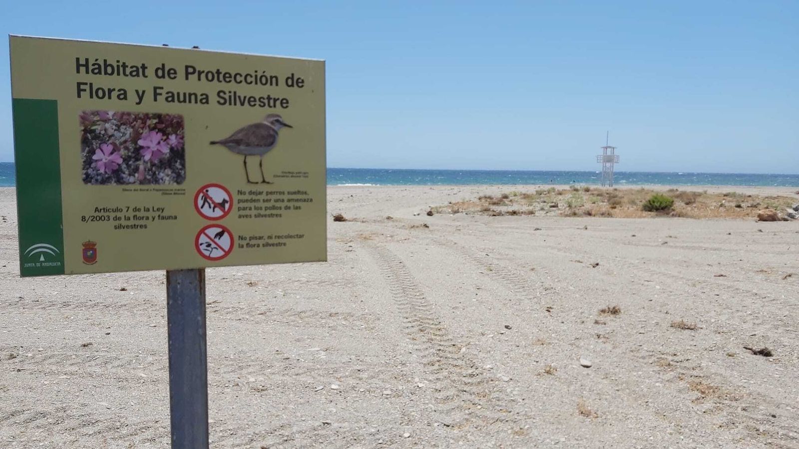 Zona en la que la asociación Buxus indica que se ha arrasado con la vegetación.