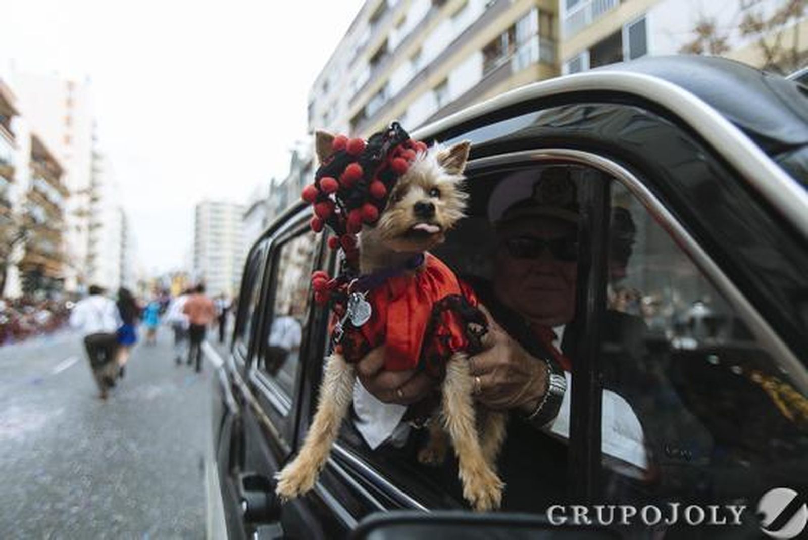 Foto: Lourdes de Vicente