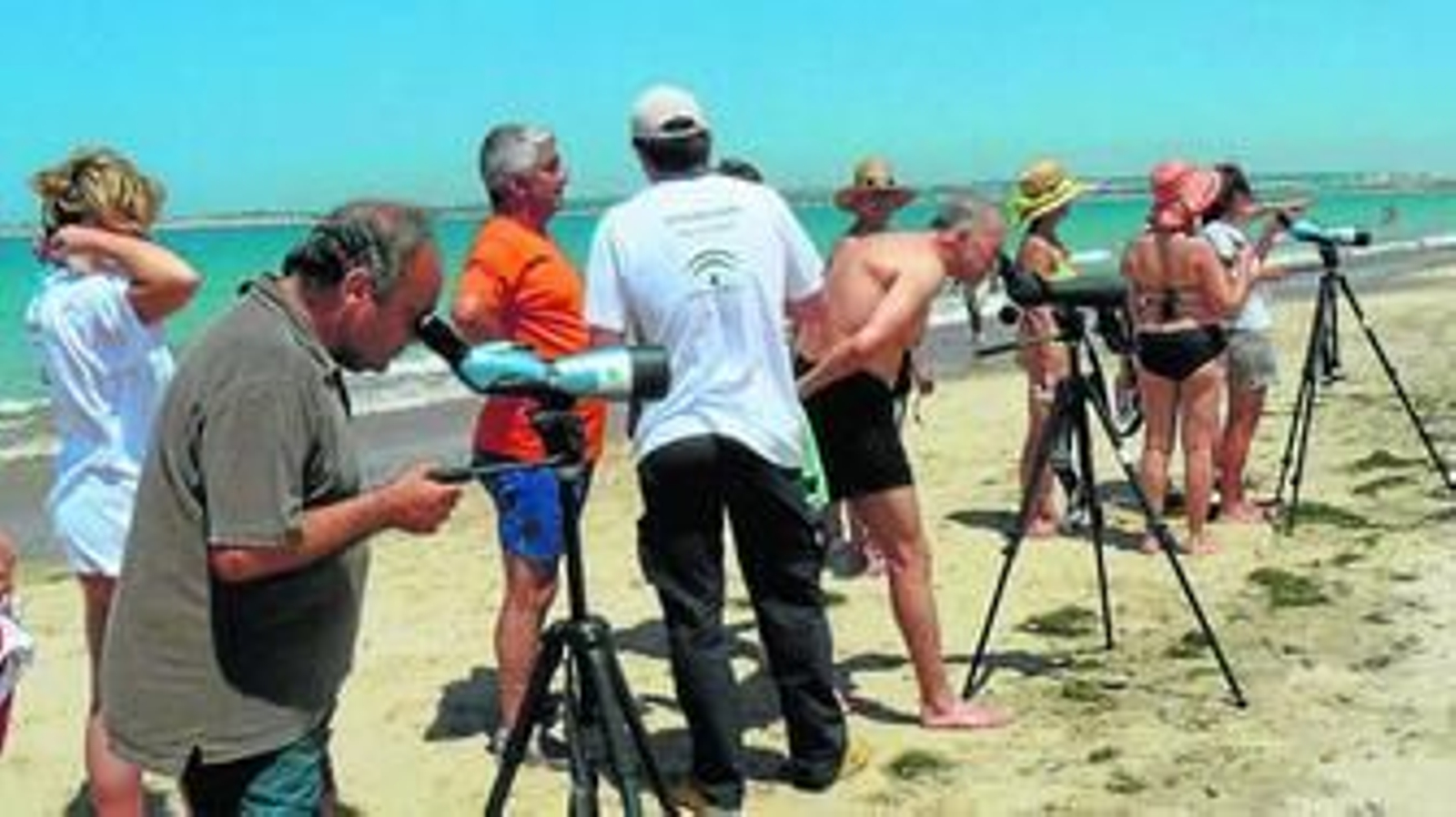 Una de las actividades de voluntariado en el parque Metropolitano de Los Toruños.