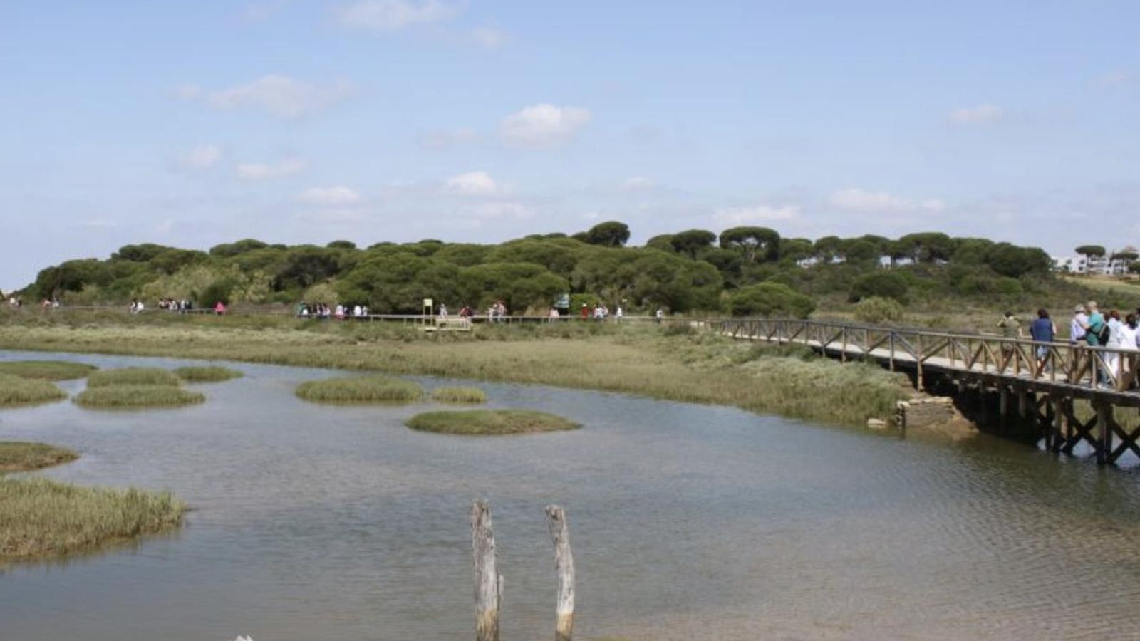 Marismas del Río Piedras