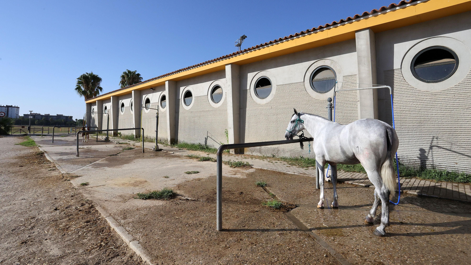 Imágenes del Complejo Hípico de Chapín de Ganadería Alpende