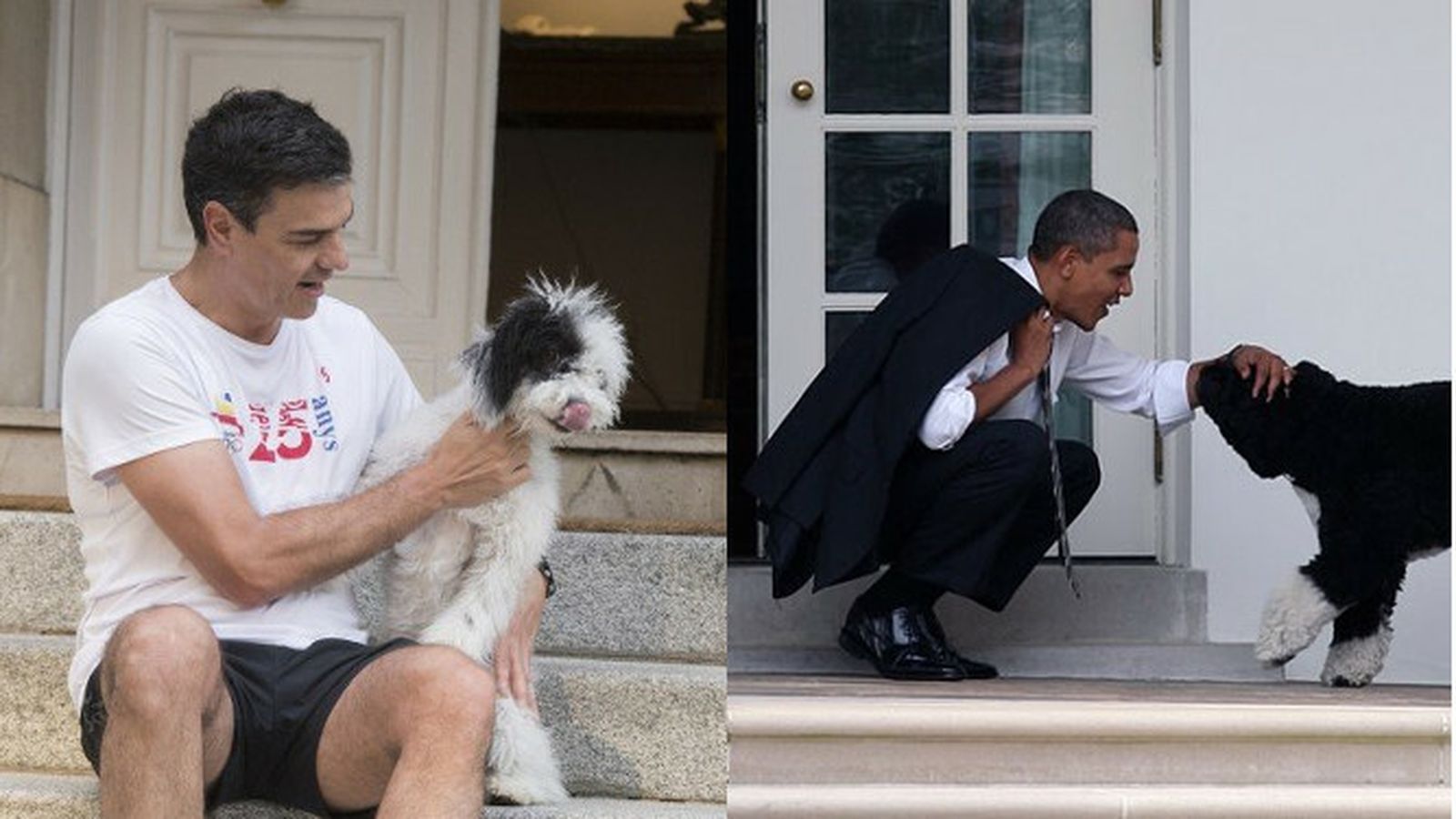 Las imágenes de Sánchez y Obama con sus perros.