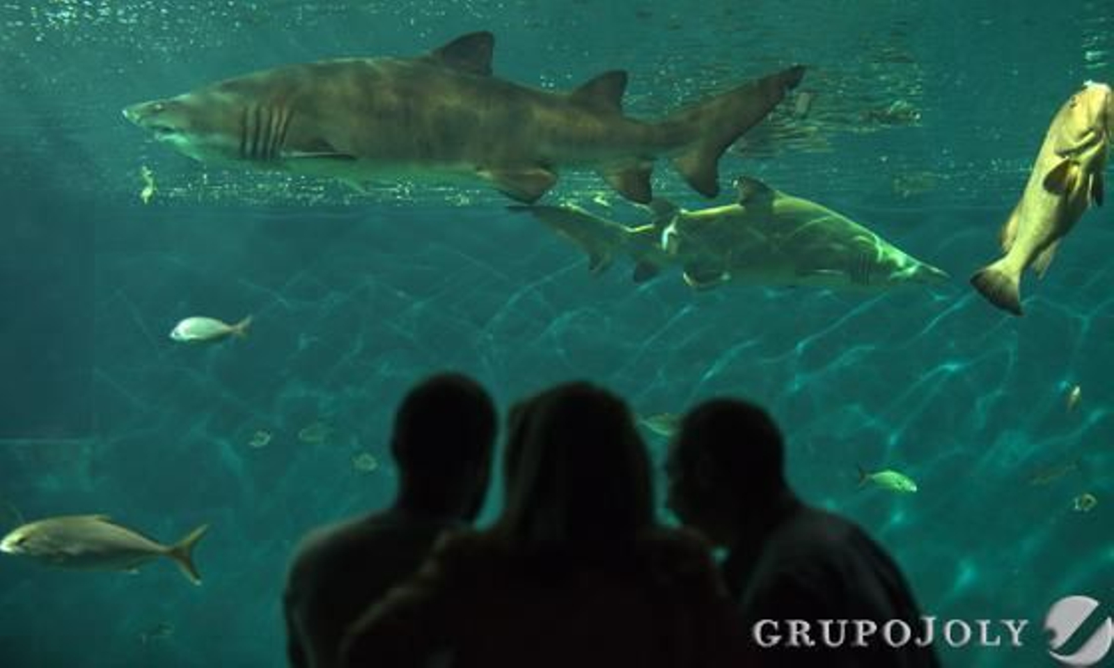 Foto: Antonio Pizarro