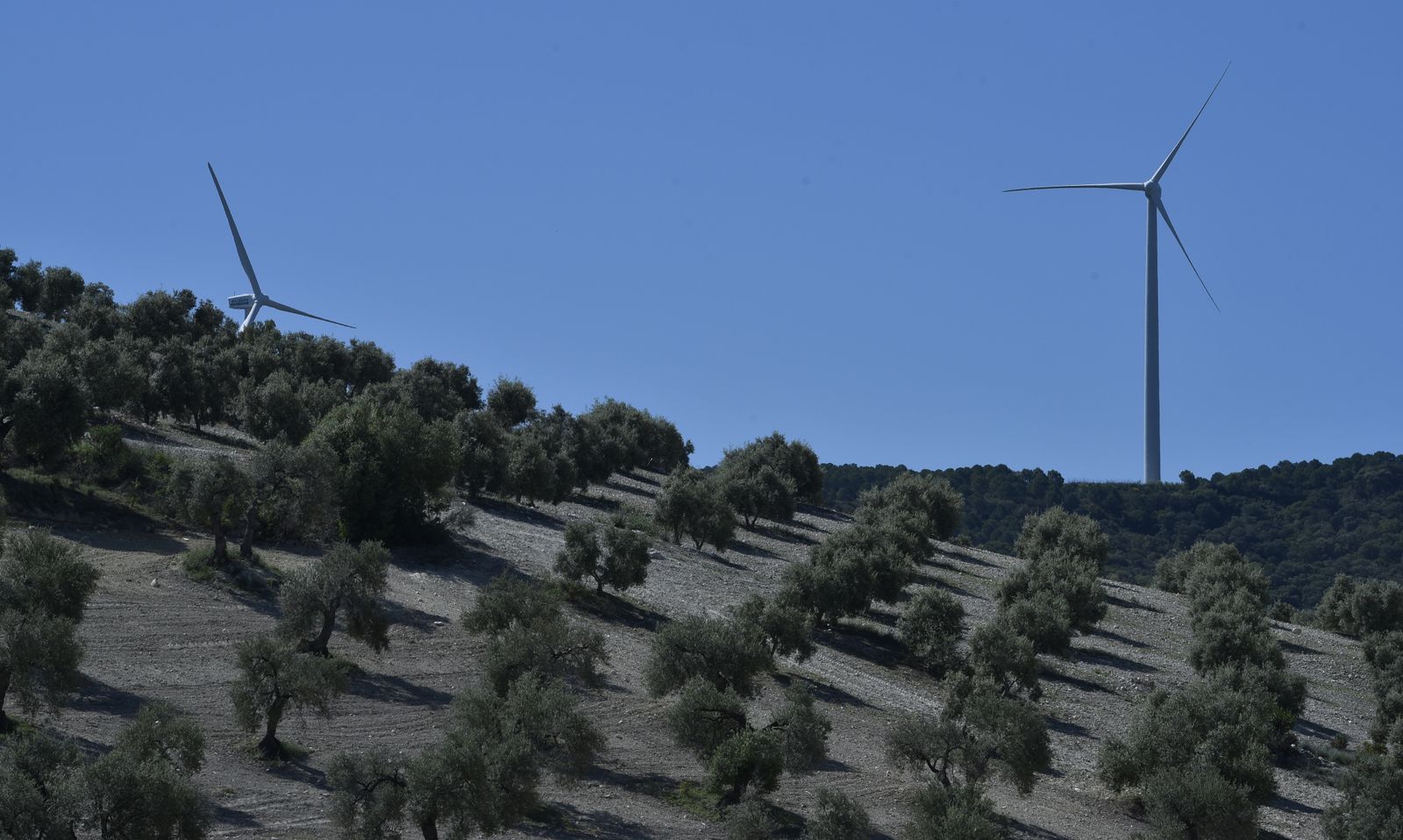 La resistencia en los pueblos de Sevilla al Coronavirus: Aguadulce