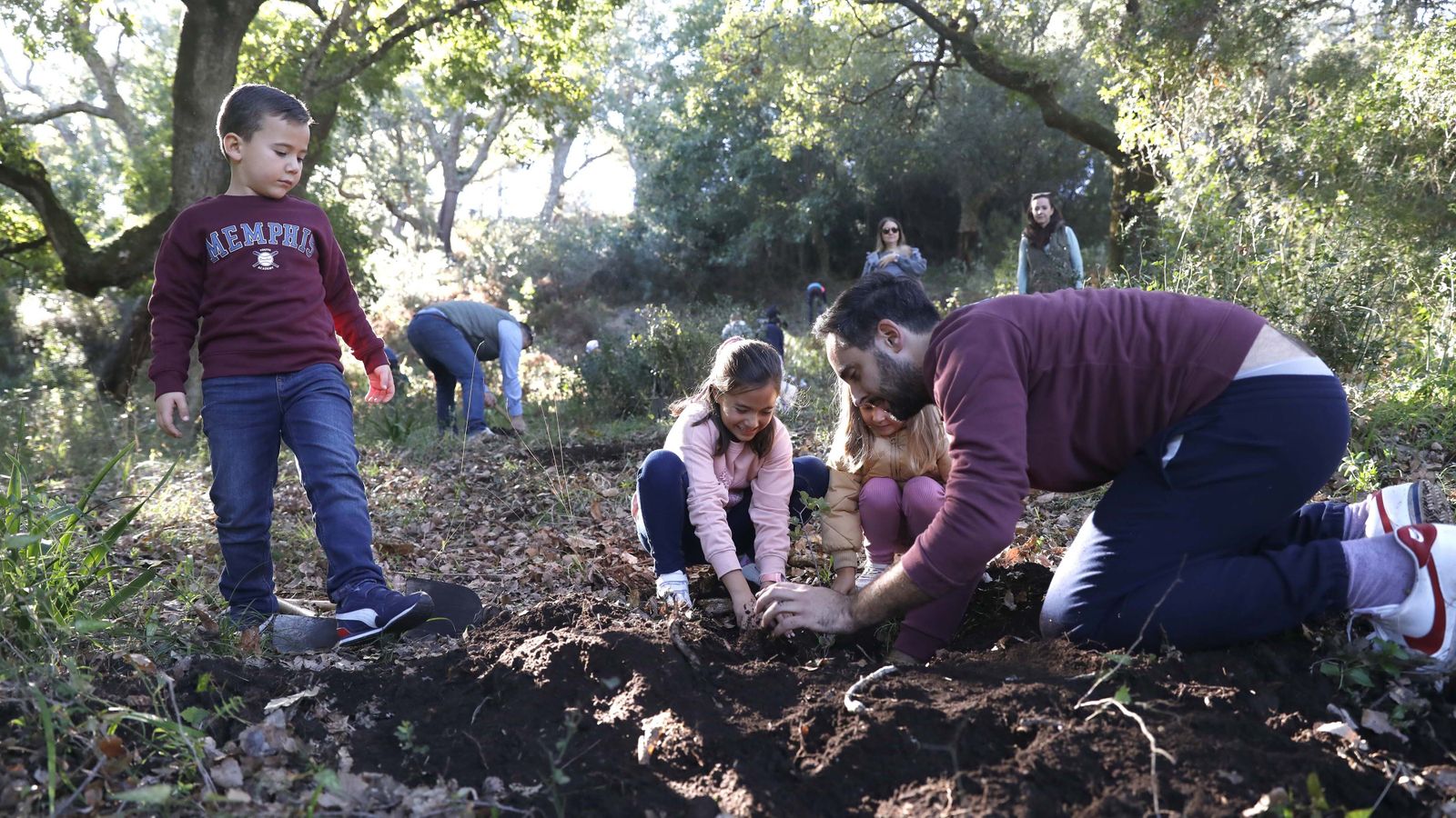Jornada de reforestación en El Palancar por trabajadores de Acerinox, en imágenes