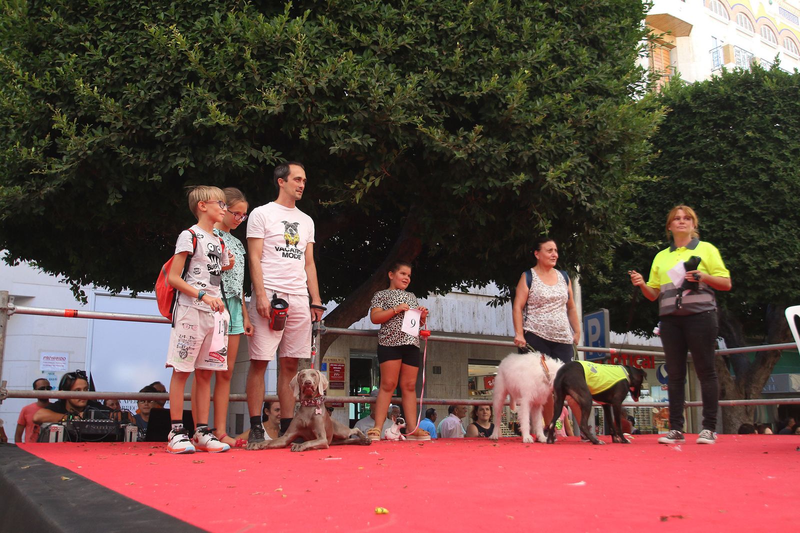 Fotogalería del concurso canino. Feria de Almería 2019