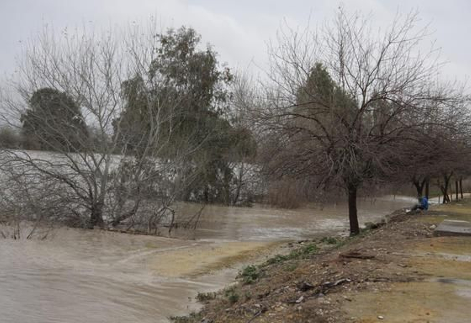 El río alcanza grandes niveles en San Juan de Aznalfarache.

Foto: Victoria Hidalgo