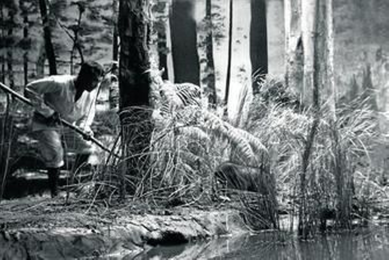 Un fotograma de 'Independencia', la perla que el certamen mostró del filipino Raya Martin.