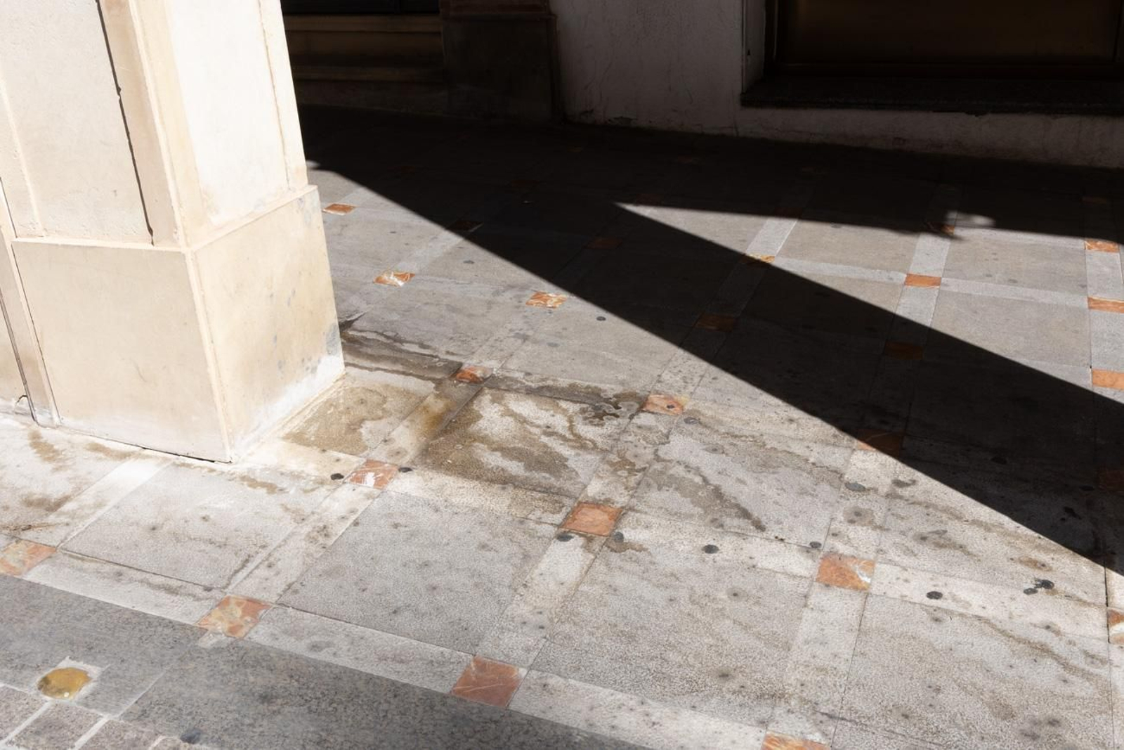 Suciedad y hierbajos toman el entorno de la Catedral de Jaén