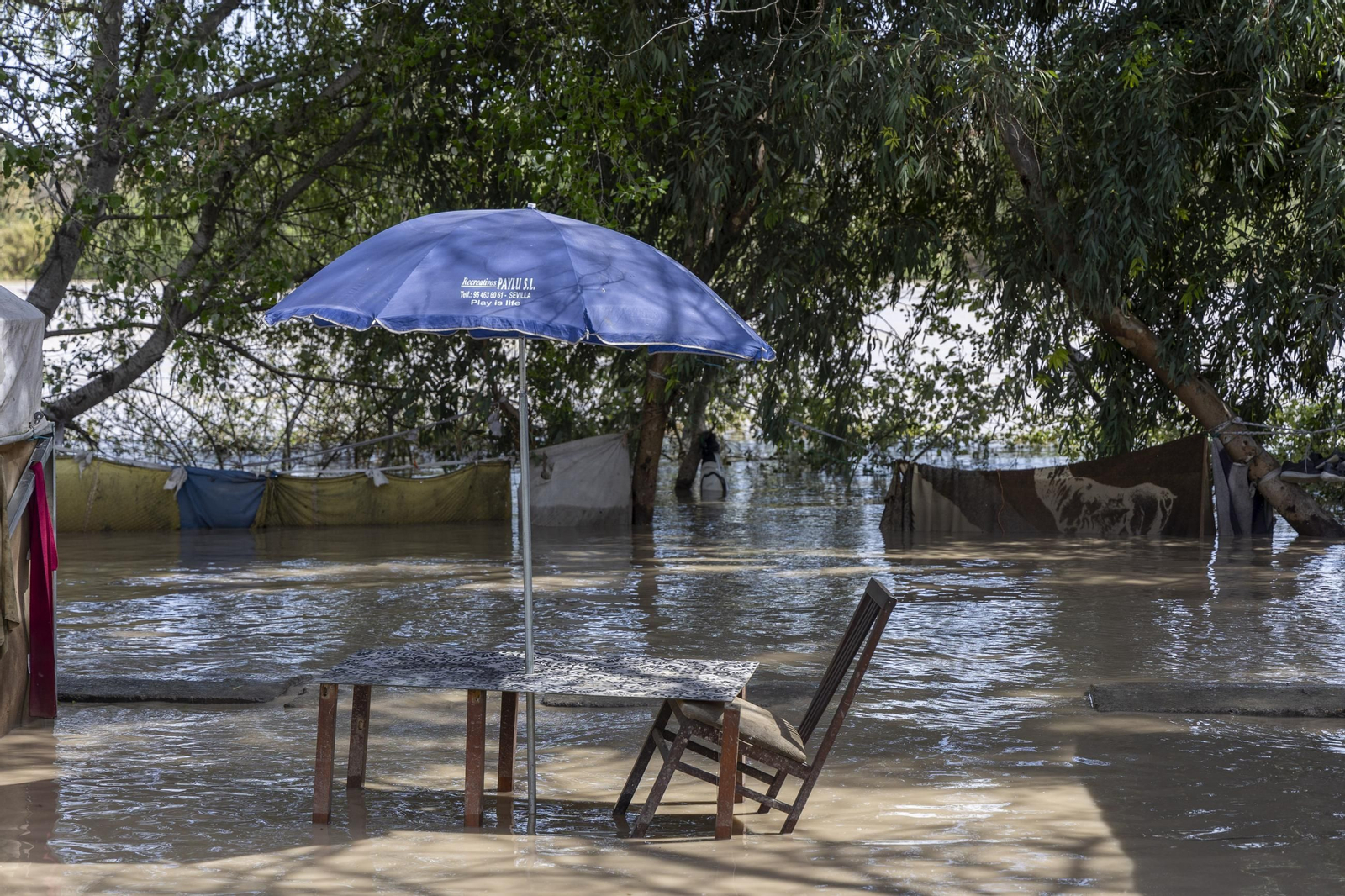 Las imágenes de la inundación del poblado chabolista junto a la orilla del Guadalquivir