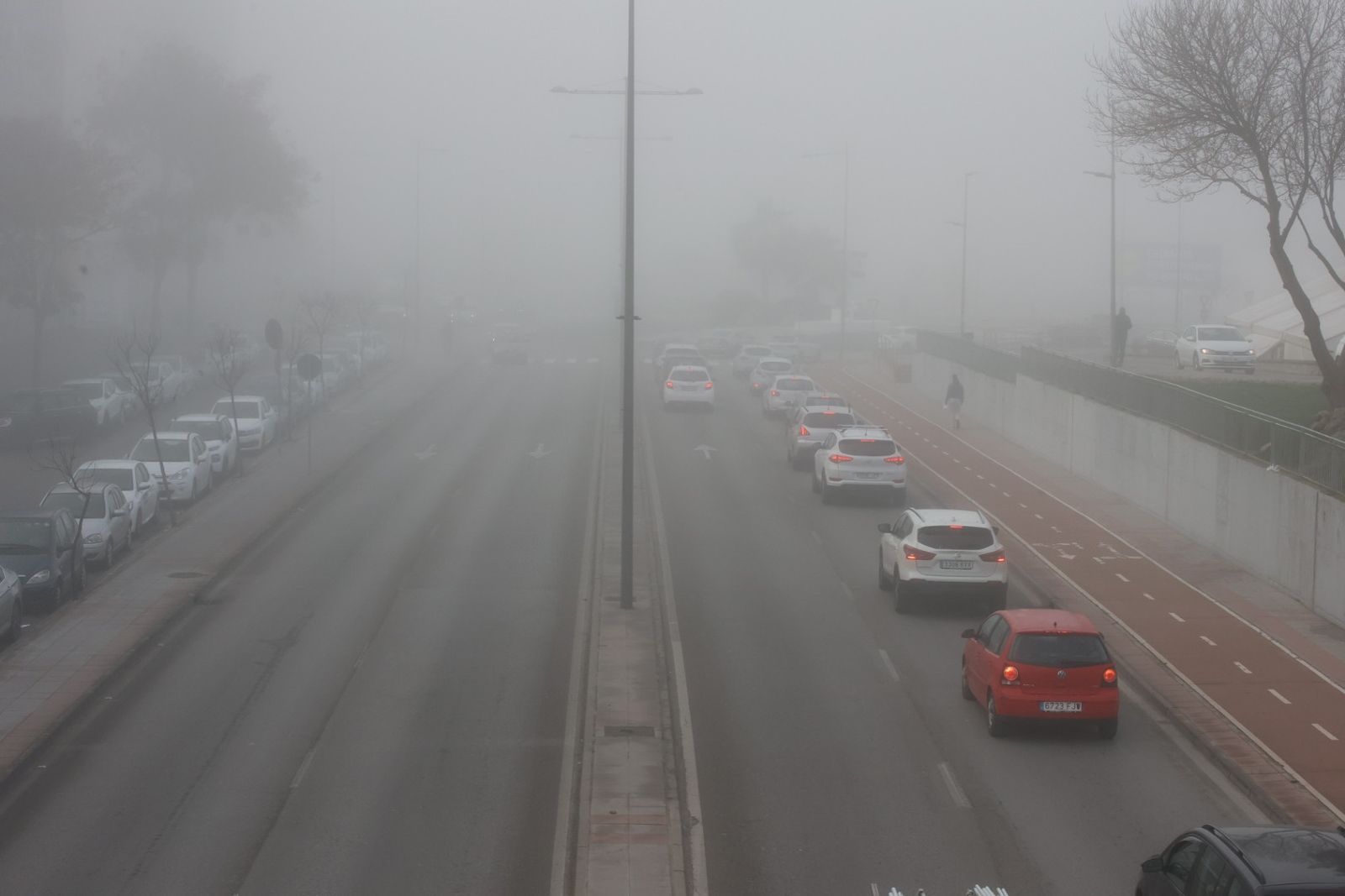 Densa niebla en Jerez