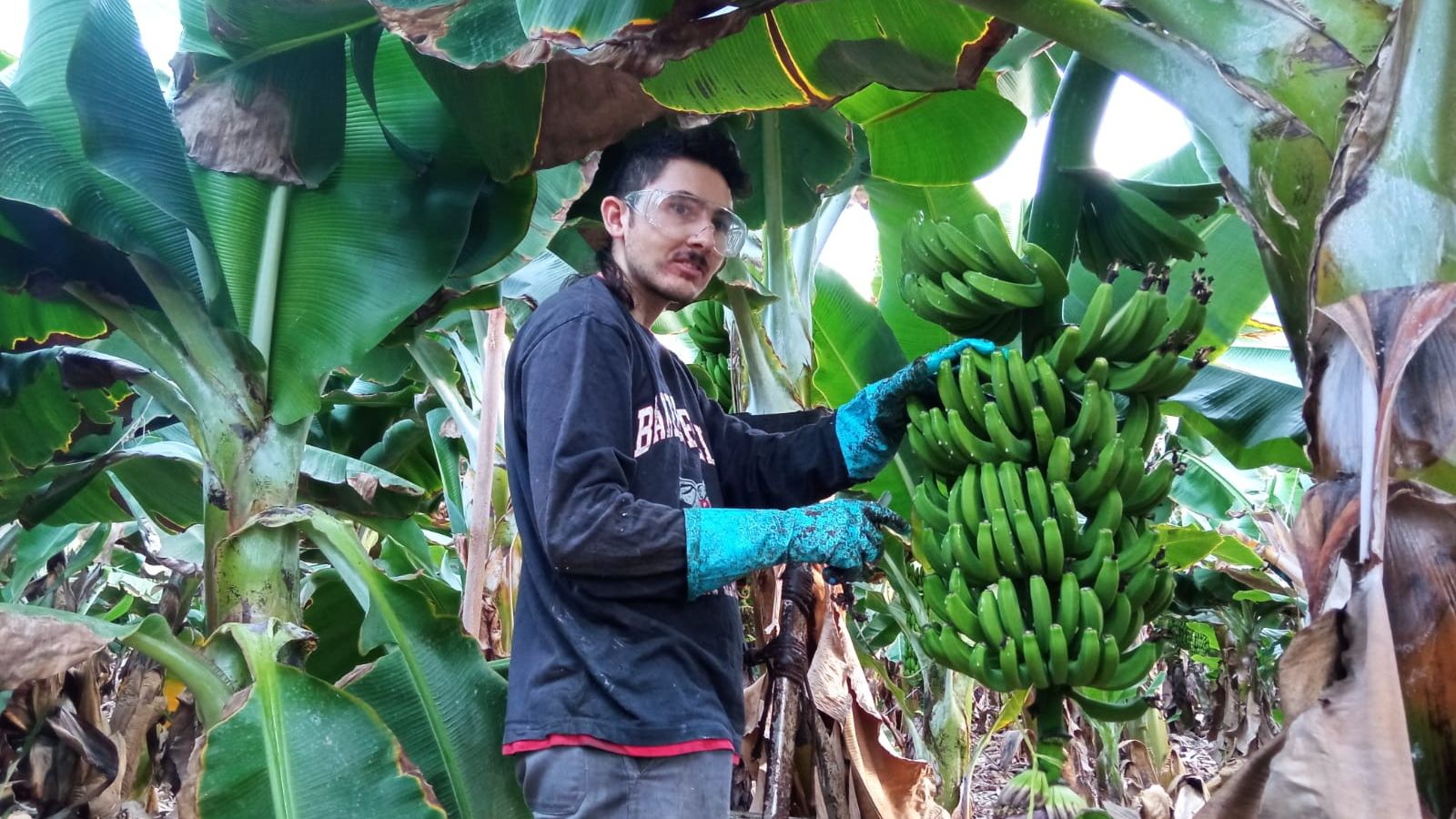 La convocatoria Más Empleo cuenta con una dotación de más de 48 millones de euros