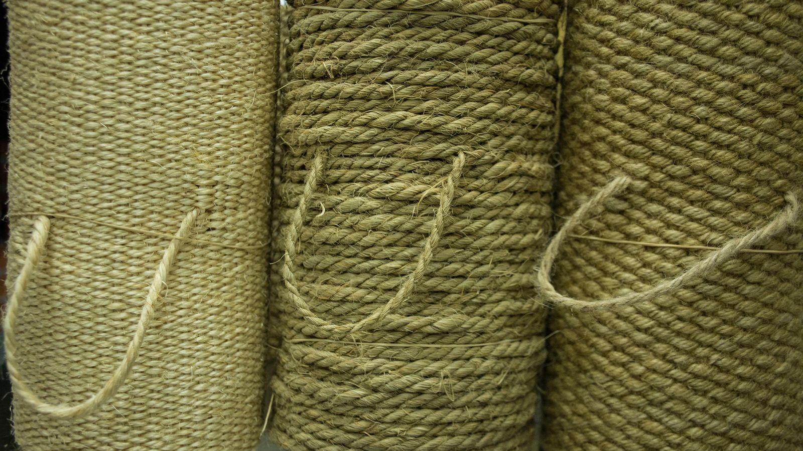 Cinturón de pita, de piola (centro)  y tranzado