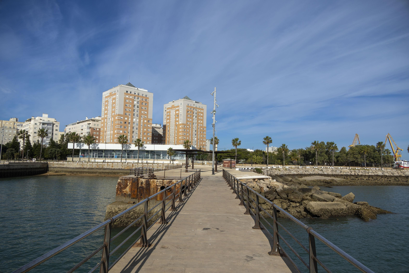Las imágenes del mal estado de los paseos de Cádiz