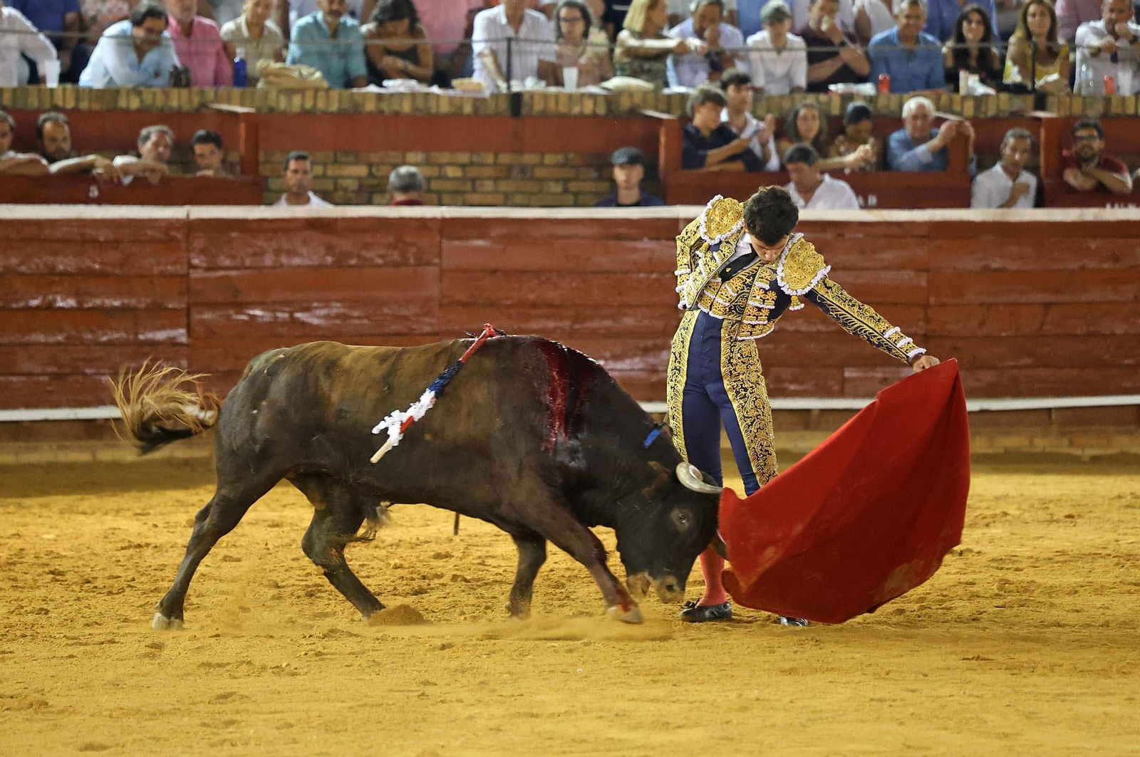 Toros La Merced 2025: Imágenes de la Novillada de Javier Zulueta, Cristian González y Carlos Tirado