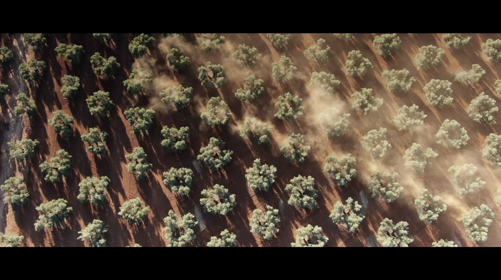 Una imagen del documental.