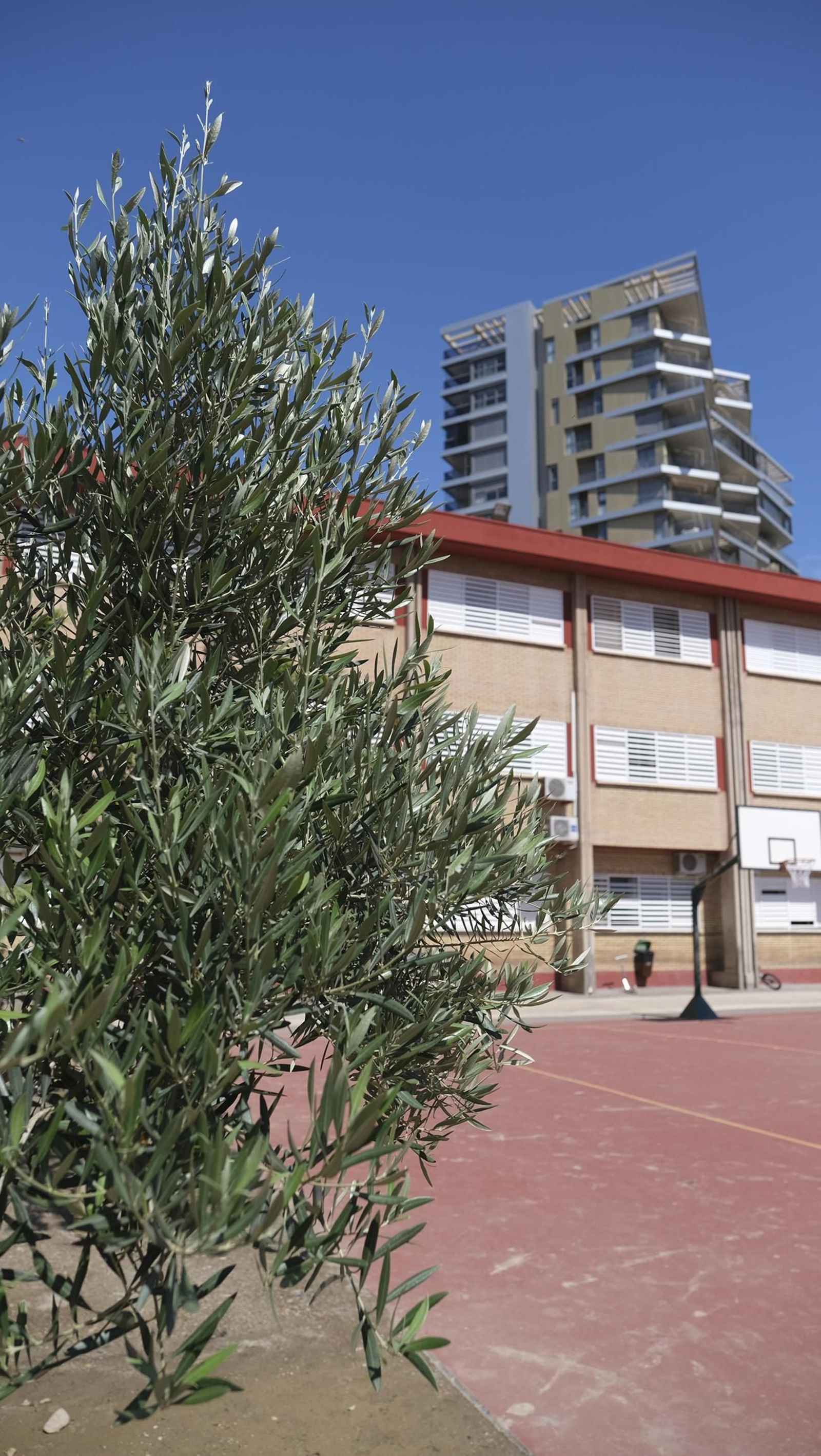 Proyecto Aulas Verdes Abiertas en el Colegio Mar Mediterráneo, de Almería