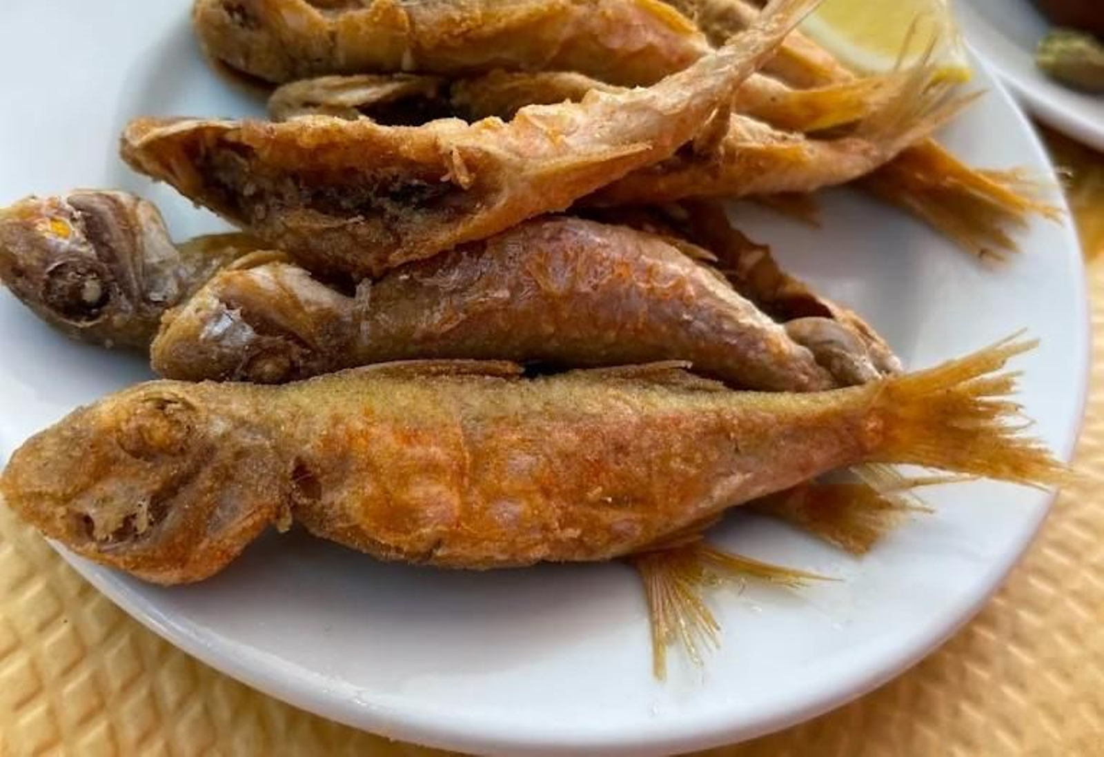 Plato de pescado de la bahía frito