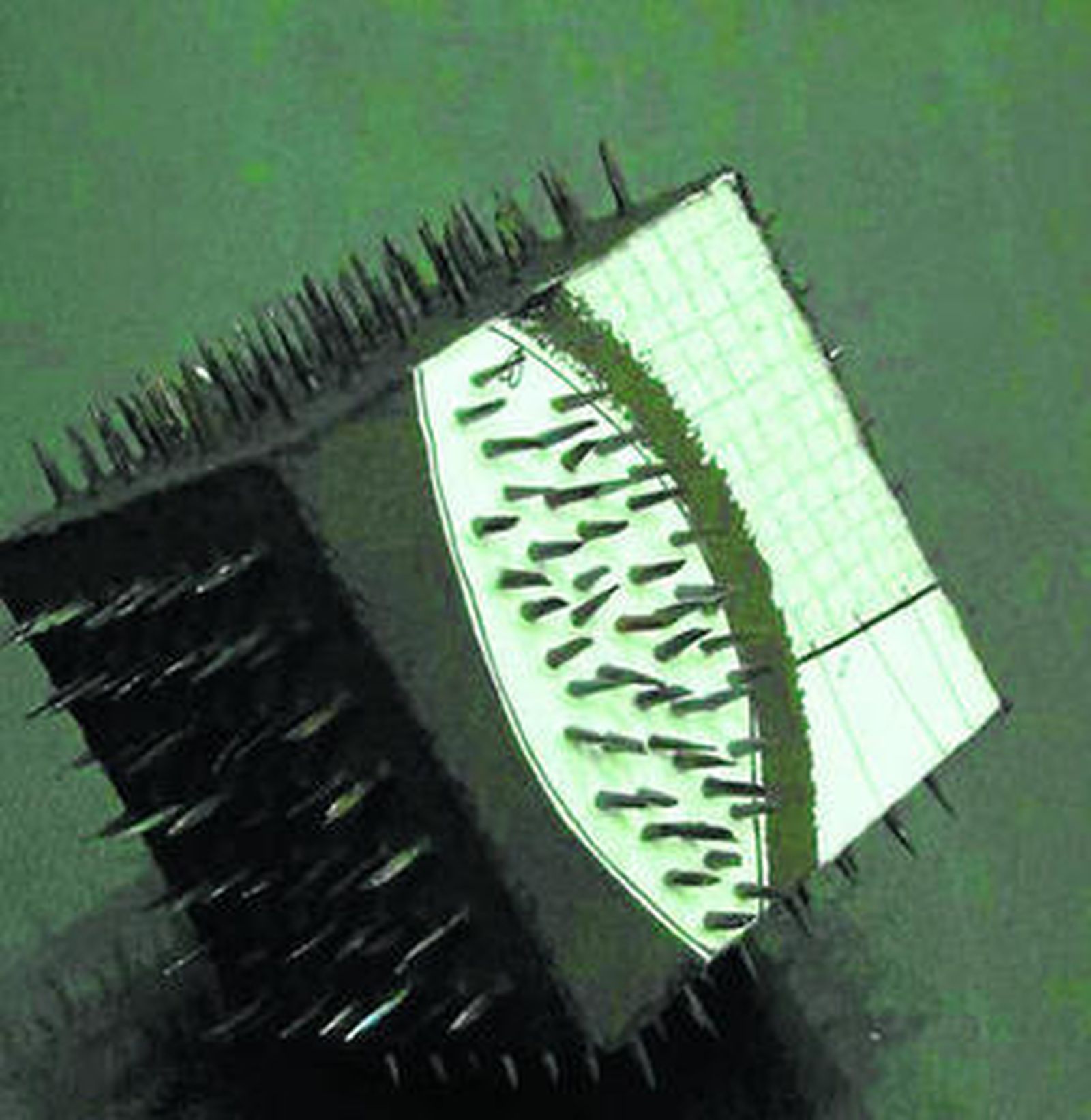 Una de las obras de 'Fragments of absences'.