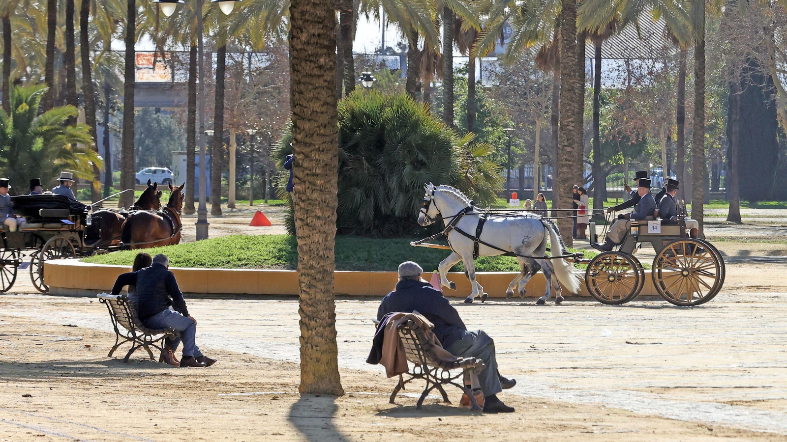 Concurso de enganches por las calles de Jerez