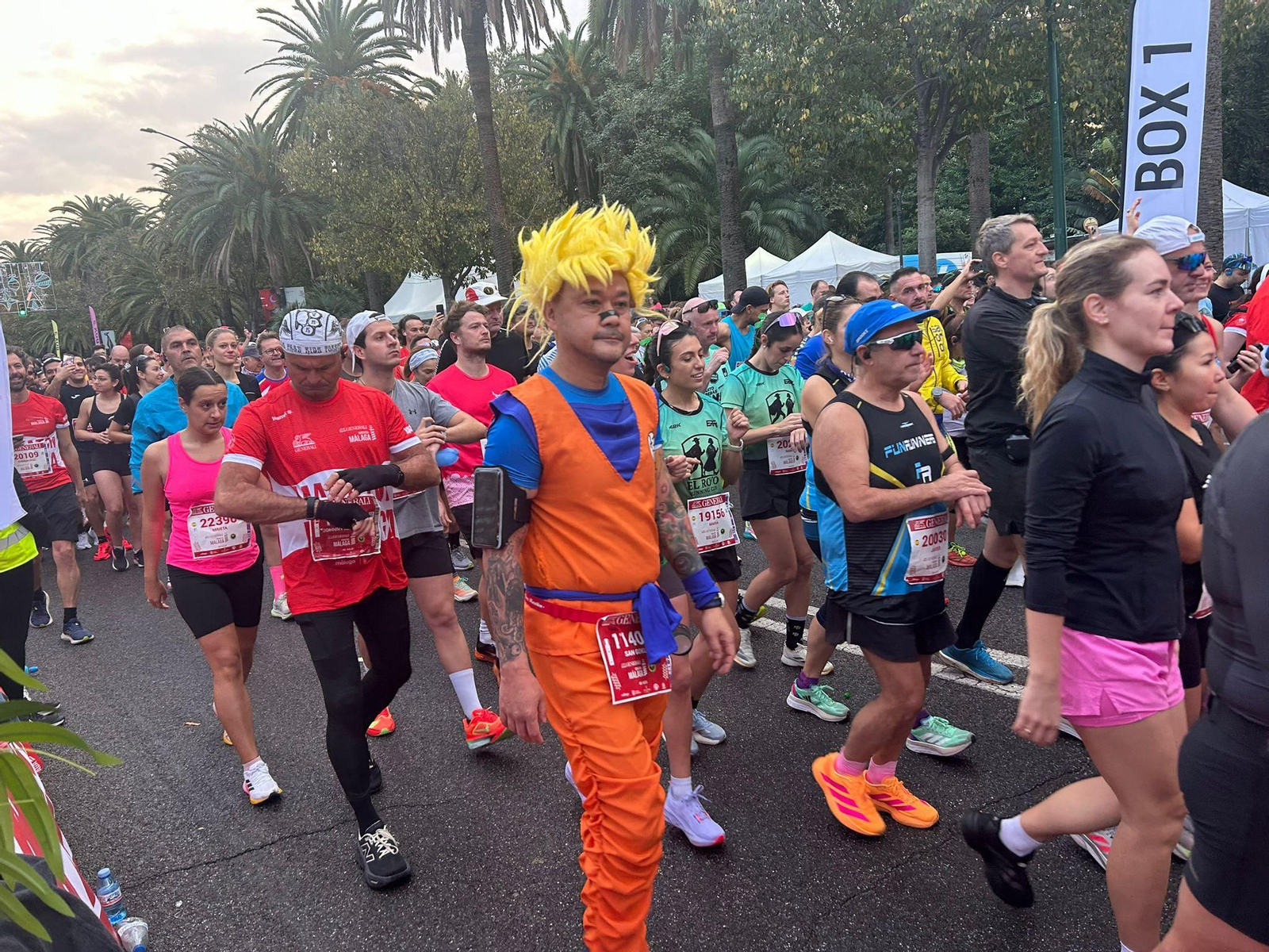 Las fotos de la Maratón de Málaga 2025