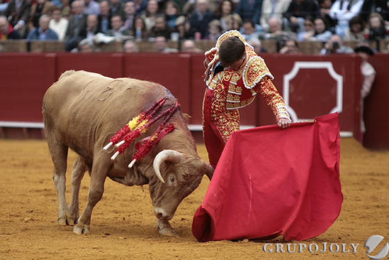 Lama de Góngora.

Foto: Juan Carlos Mu?