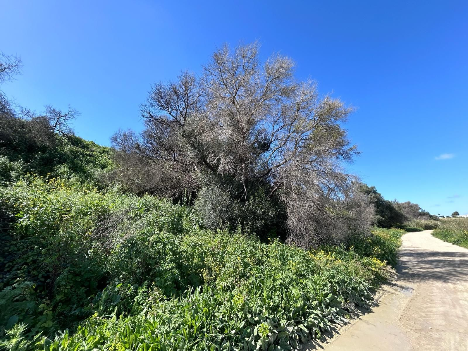 Sendero a las afueras de Jerez imperdible: una venta que da la bienvenida y culmina en una laguna