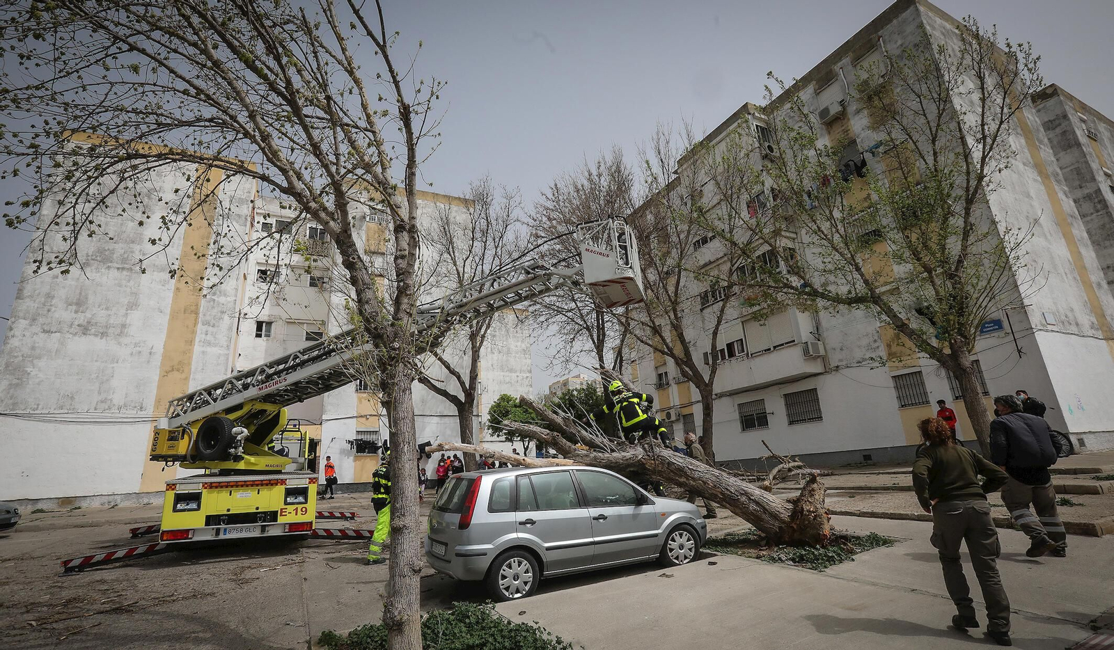 Imágenes de los destrozos ocasionados por el fuerte temporal