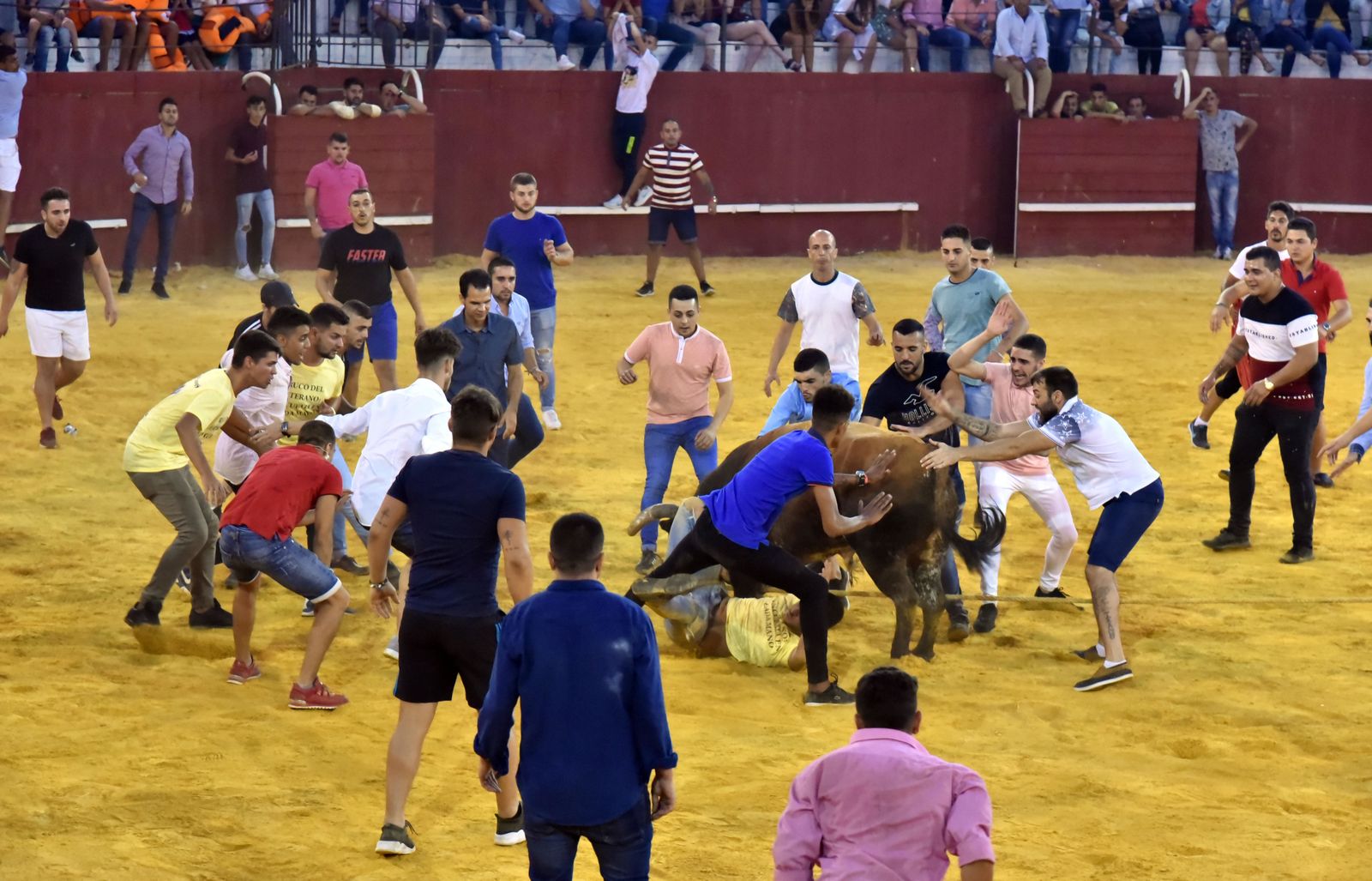 Toro del Aguardiente