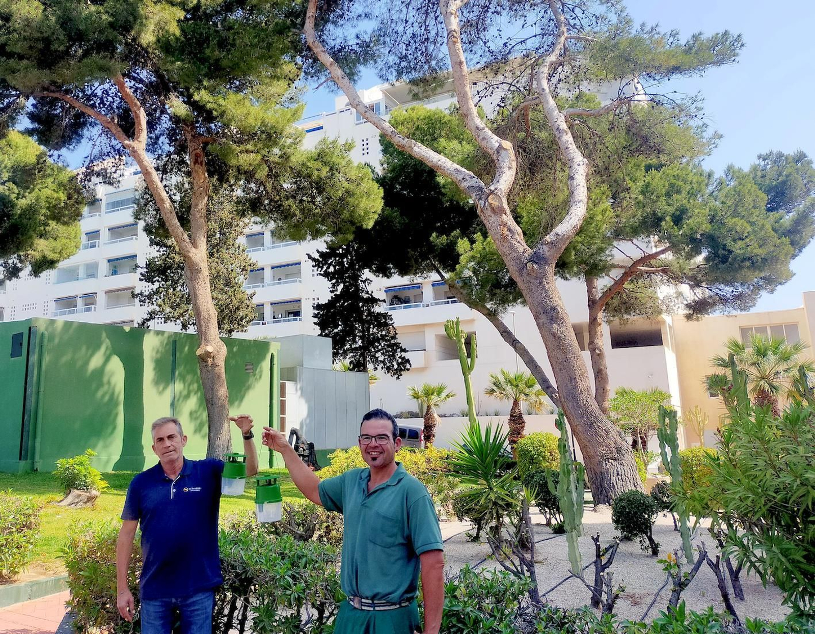 Responsables de Jardinería de Senator Hotels colocan trampas de Koppert contra procesionaria.