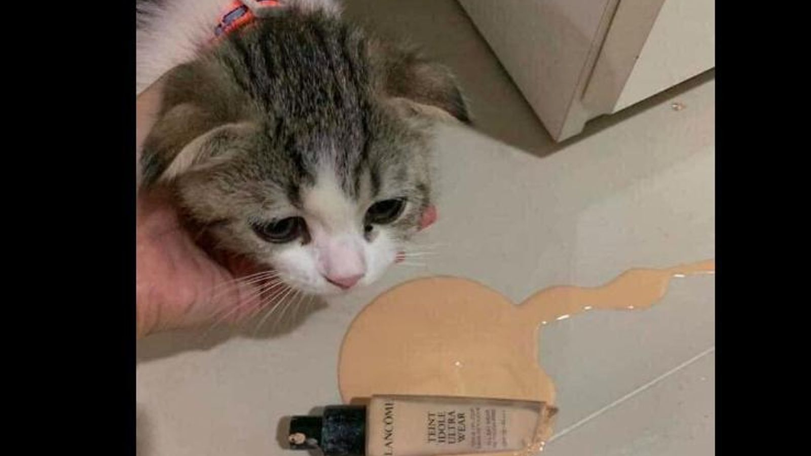 Rompió su maquillaje favorito