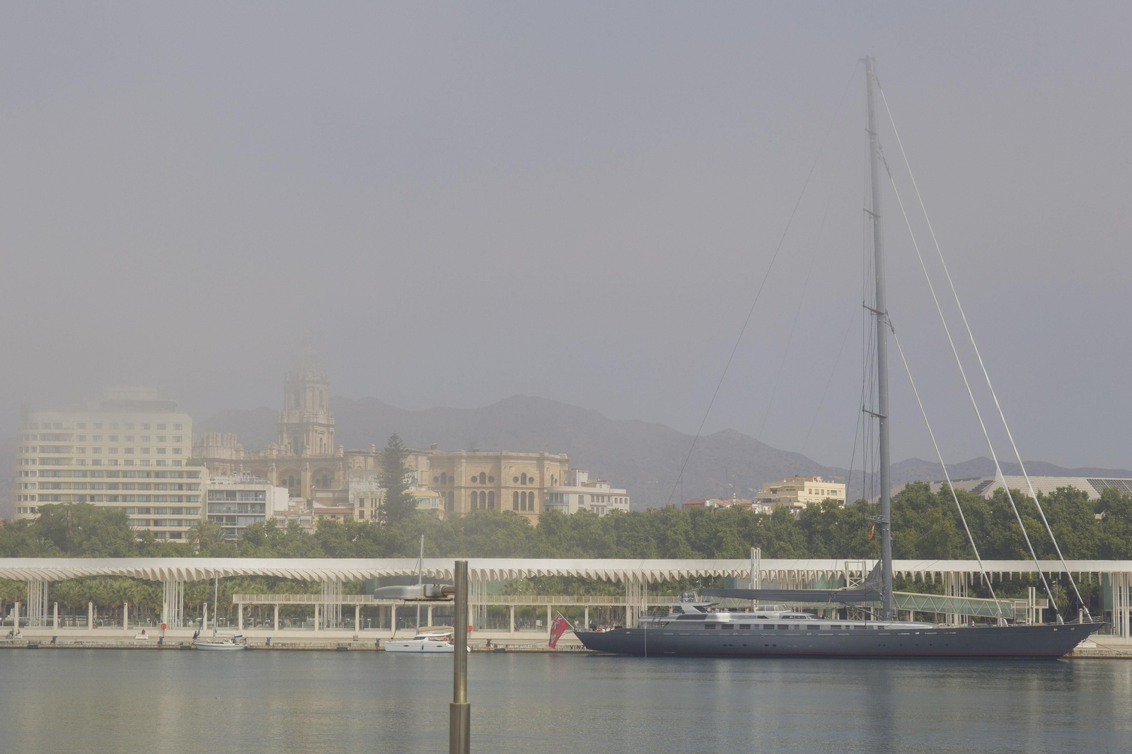 El taró provoca la prohibición del baño en las playas de Málaga, en imágenes