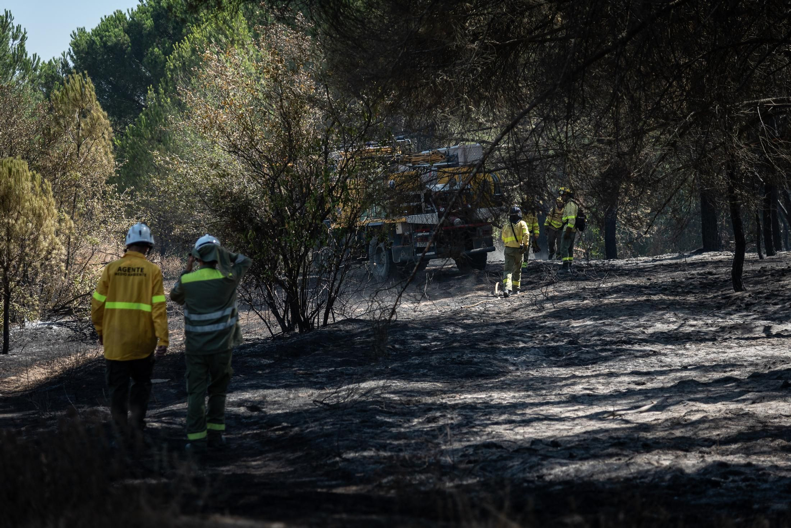 Imágenes de las labores de extinción del incendio de Bonares