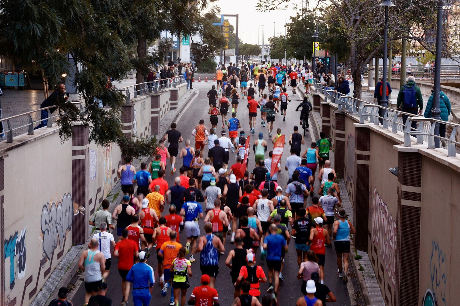 Las fotos de la Maratón de Málaga 2025