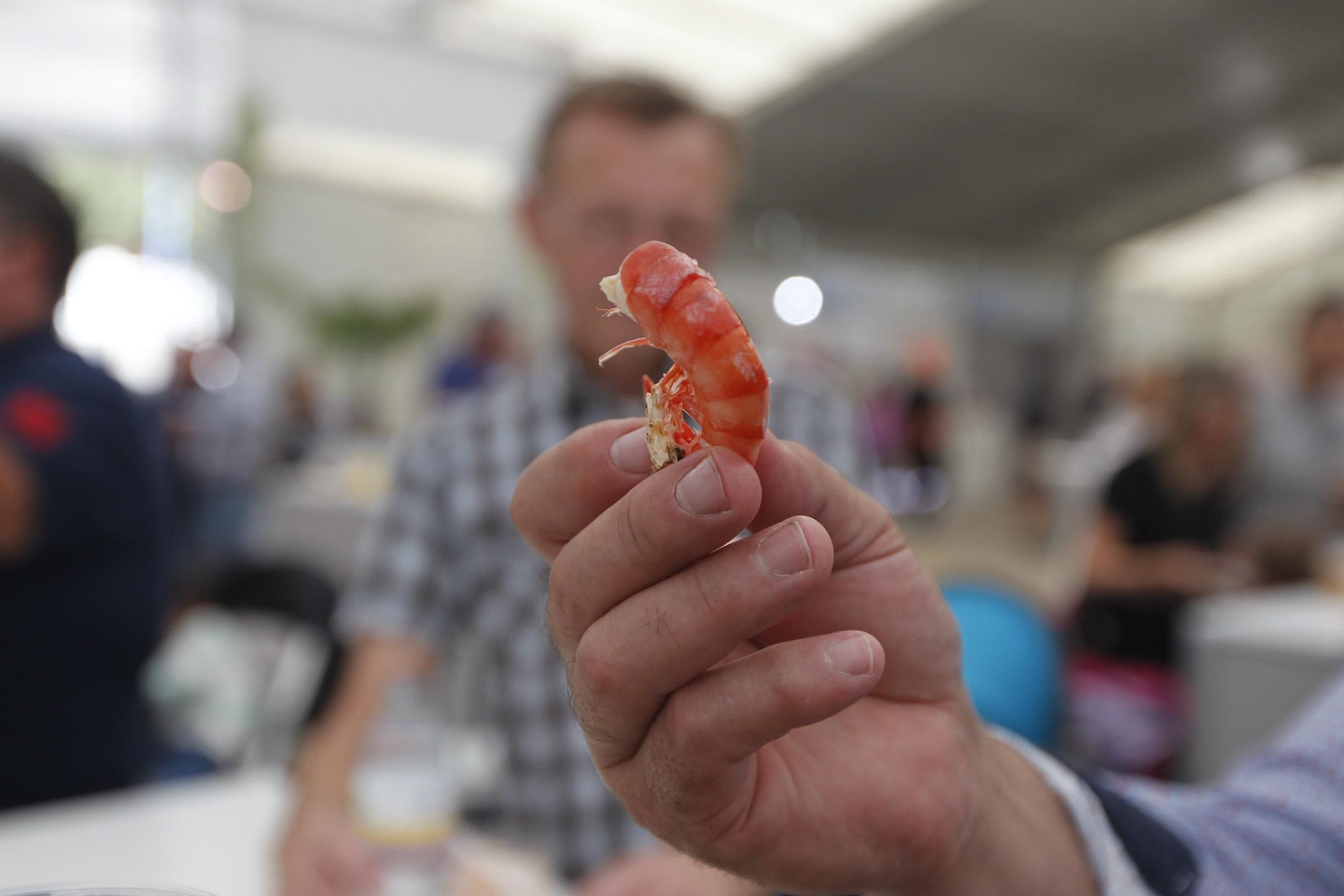 Fotogalería Feria de la Gamba Roja. Garrucha