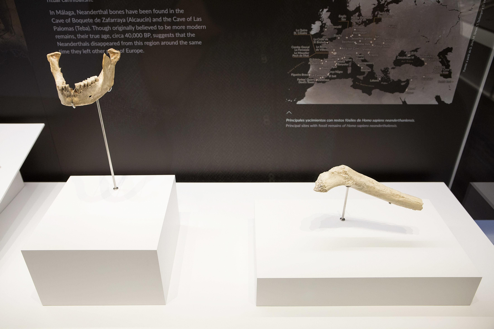 Conoce el Museo de Málaga