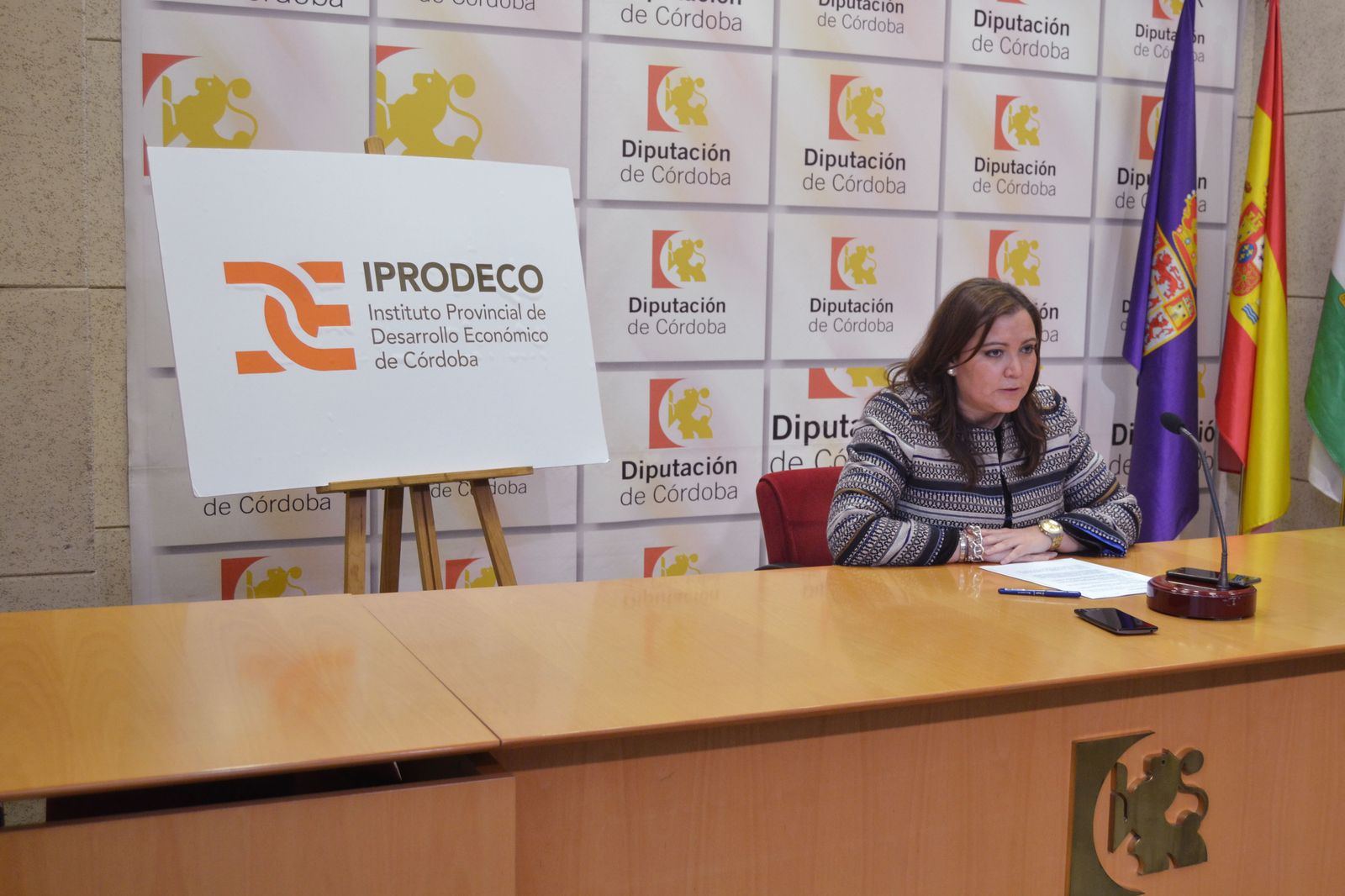 Ana Carrillo, durante la presentación de las ayudas en el Palacio de la Merced.