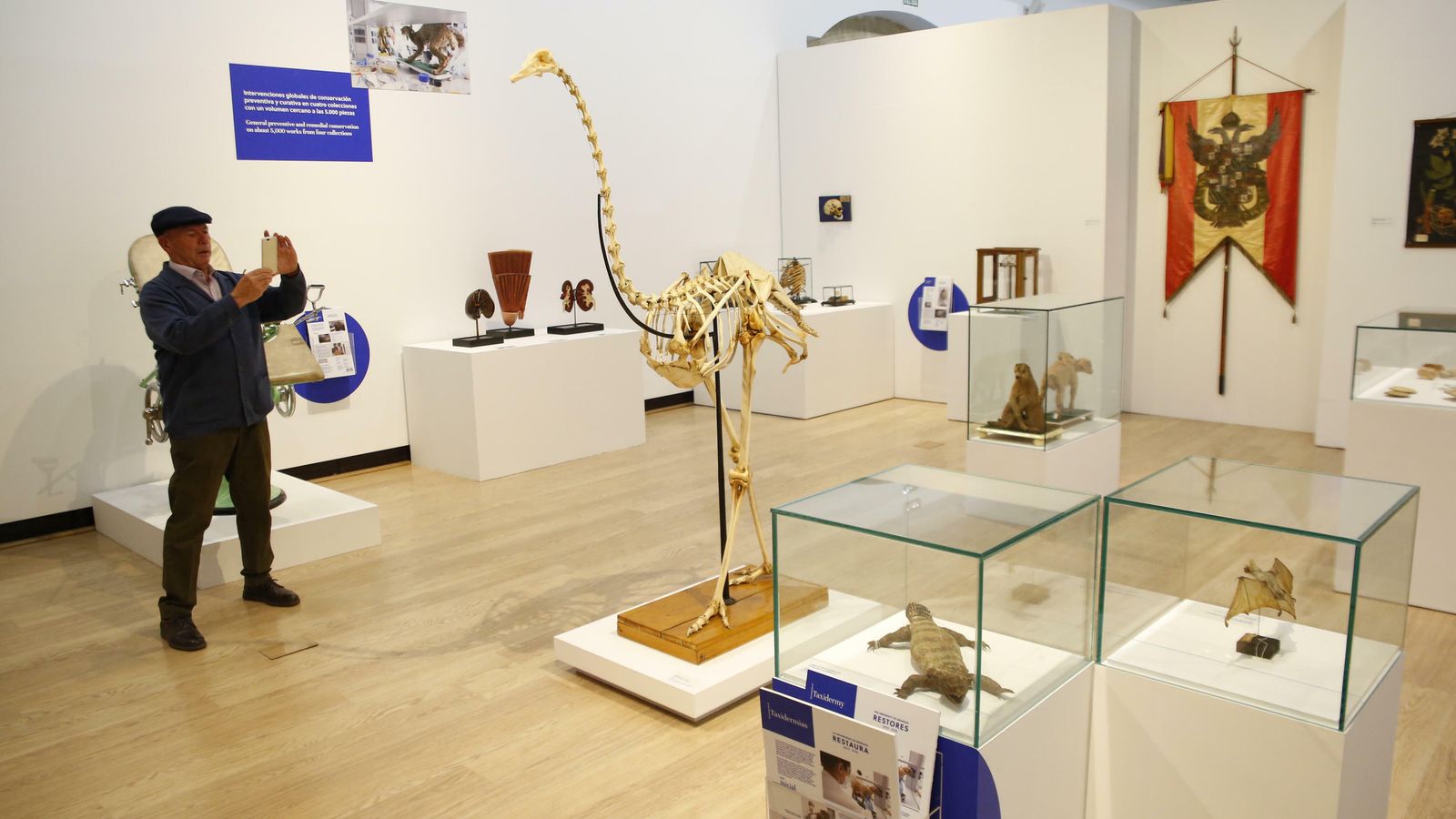 Algunas de las piezas ya han sido expuestas.